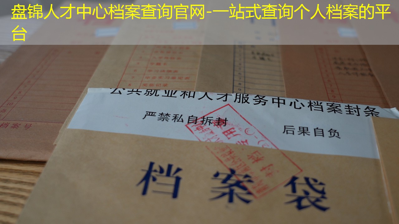 档案查询