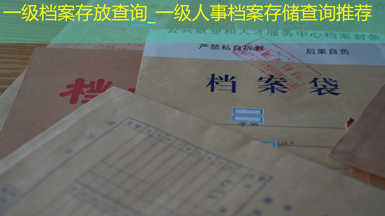 档案查询