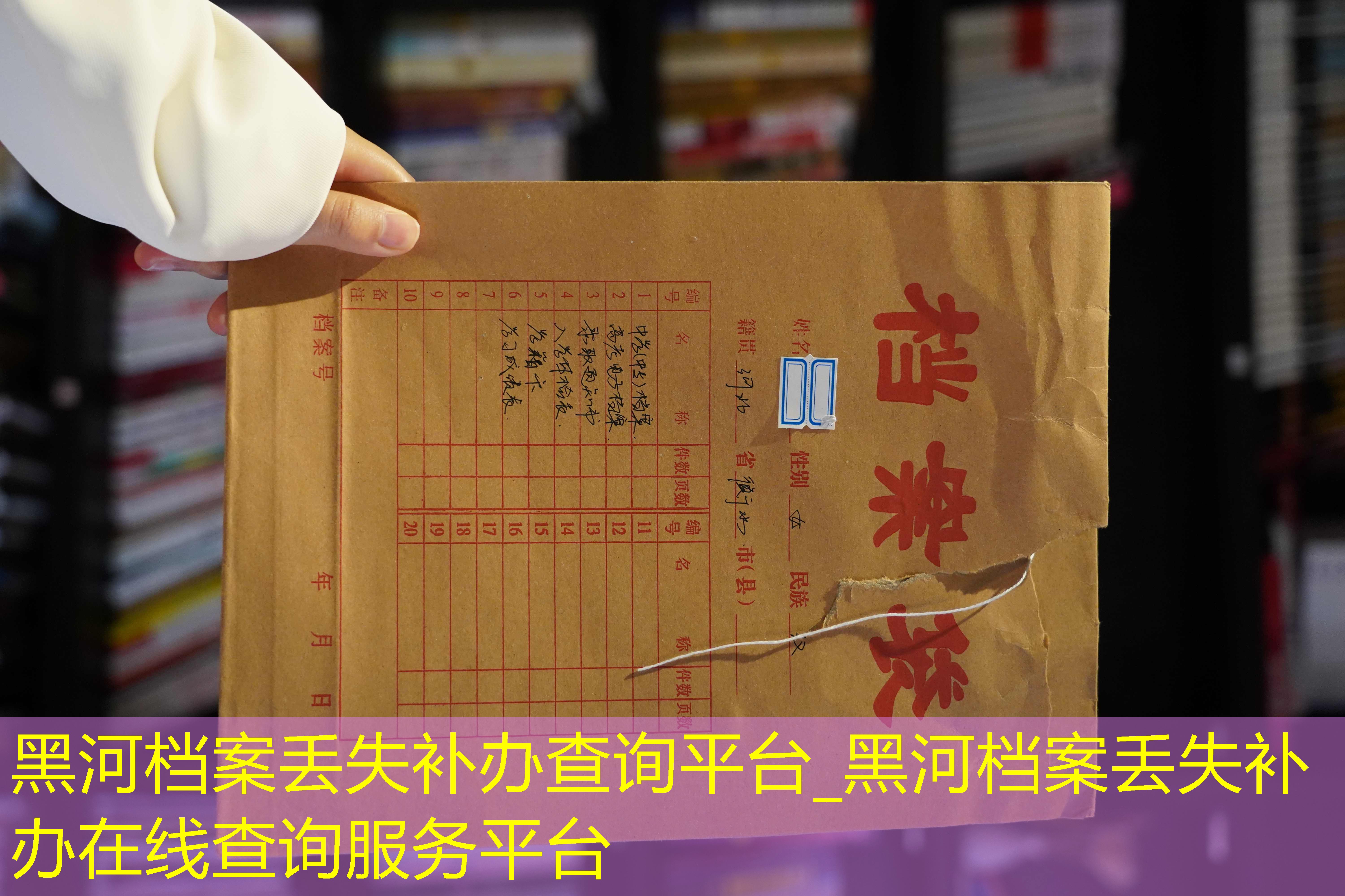 档案查询