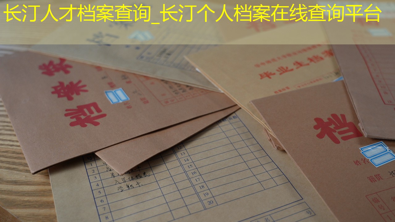 档案查询