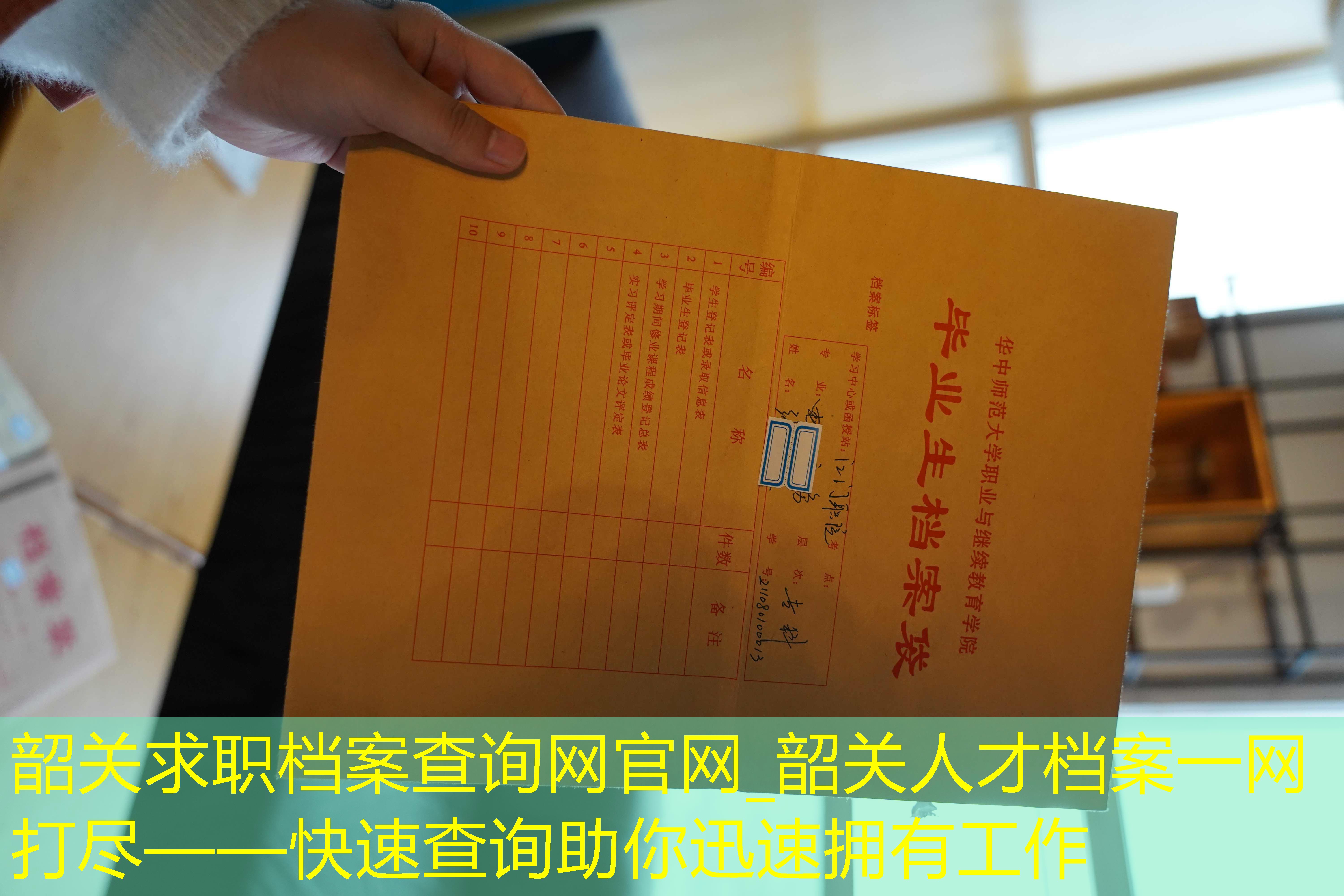 档案查询