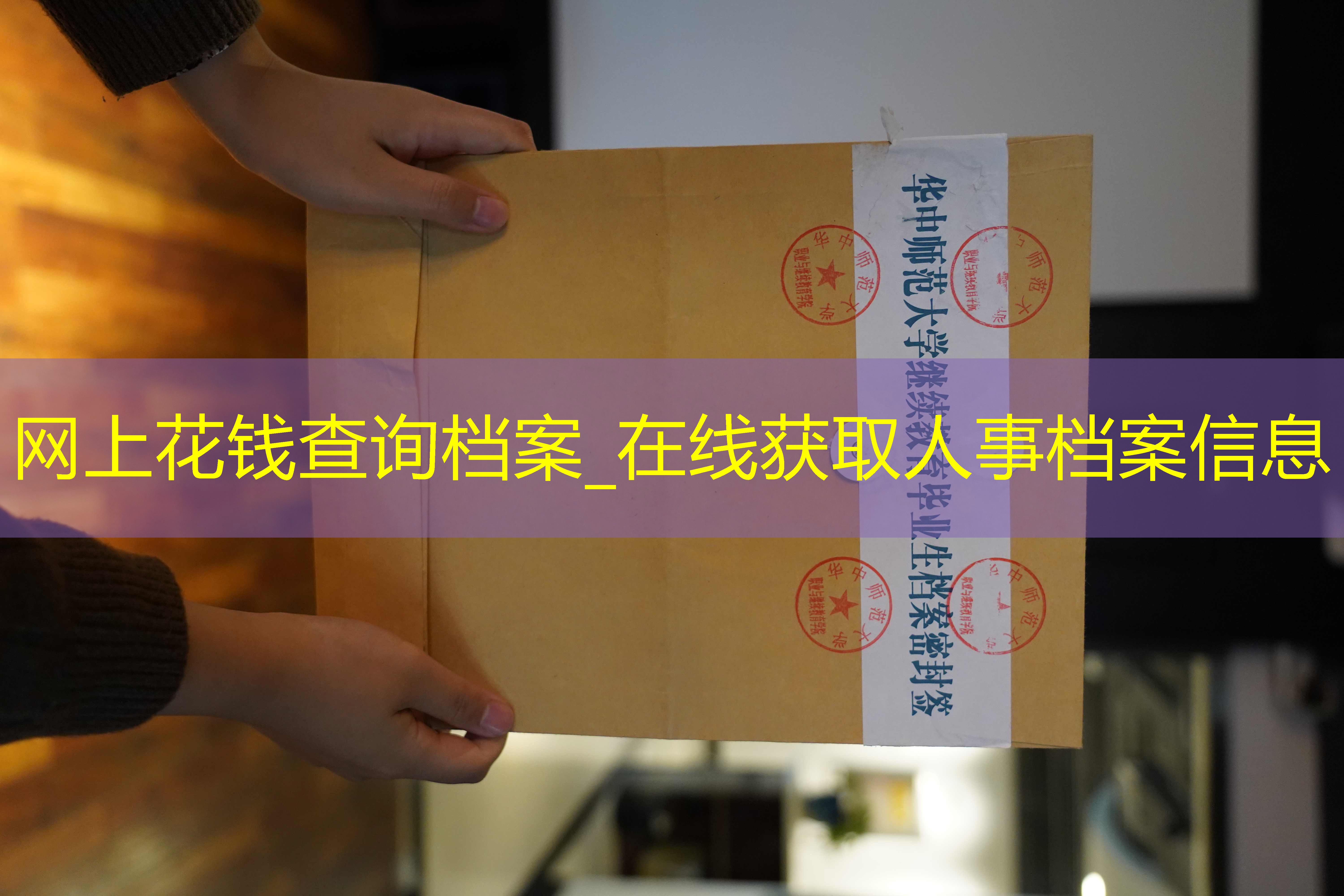 档案查询