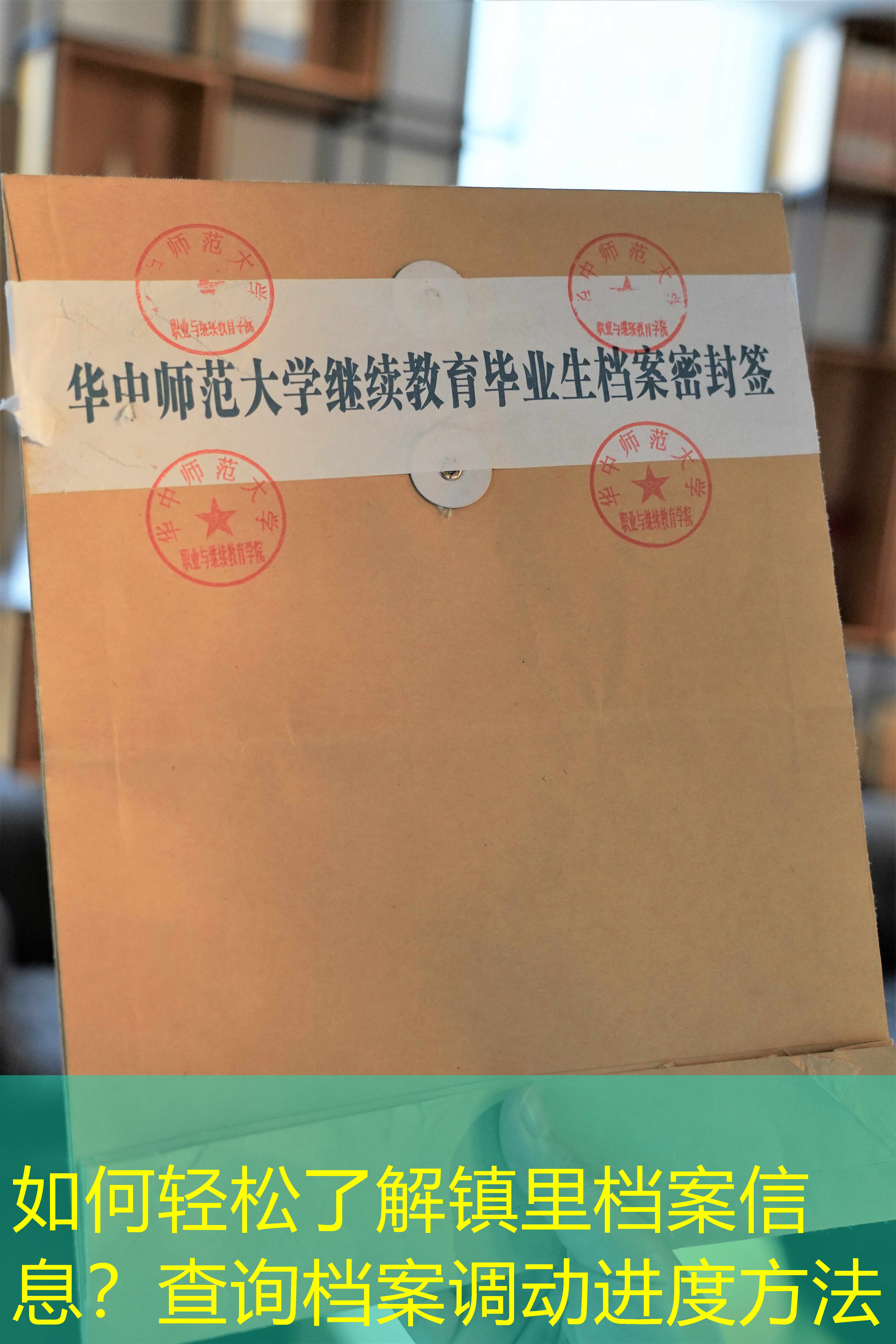 档案查询