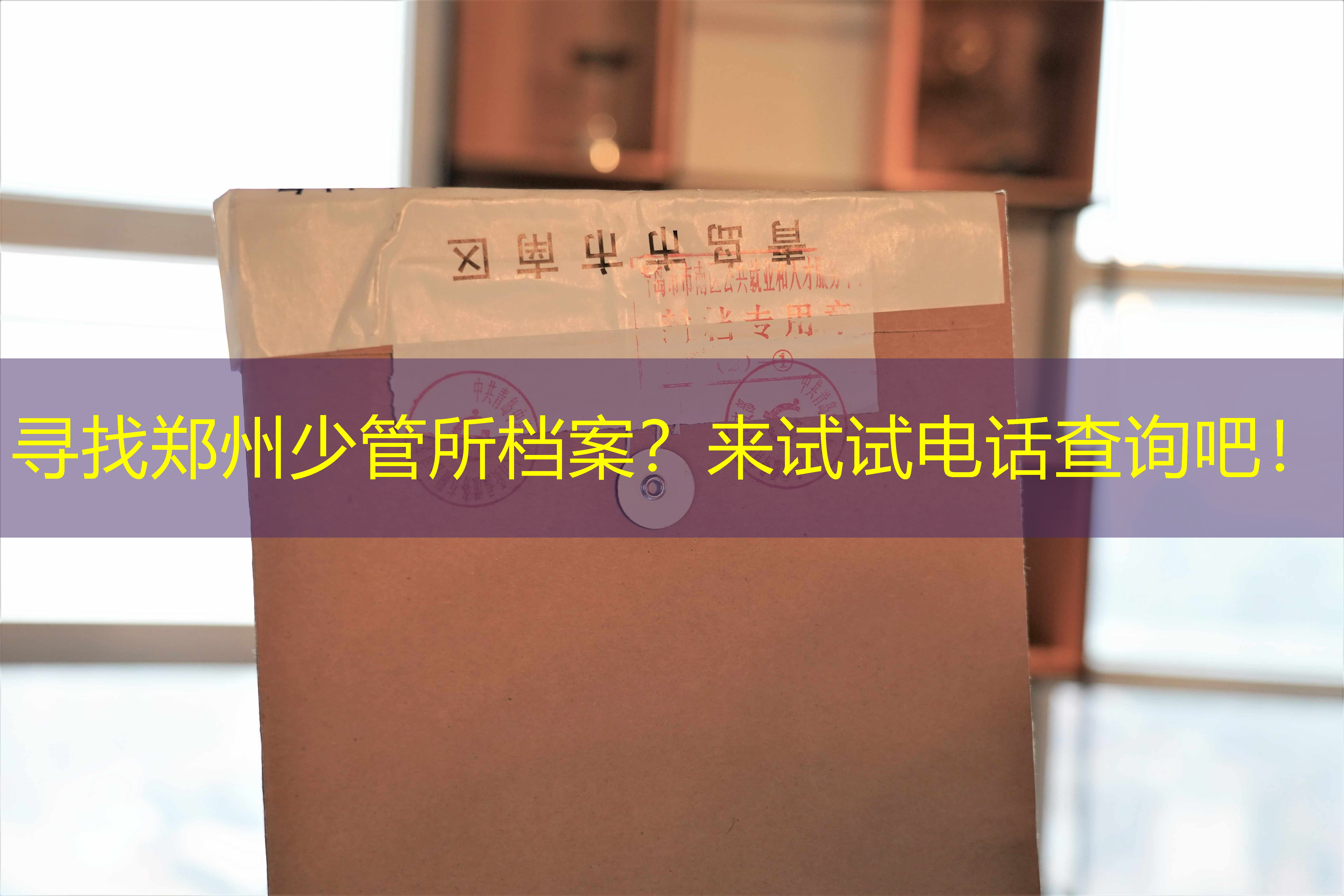 档案查询