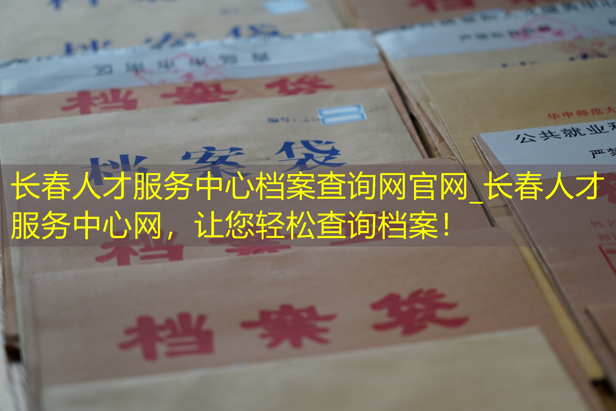 档案查询