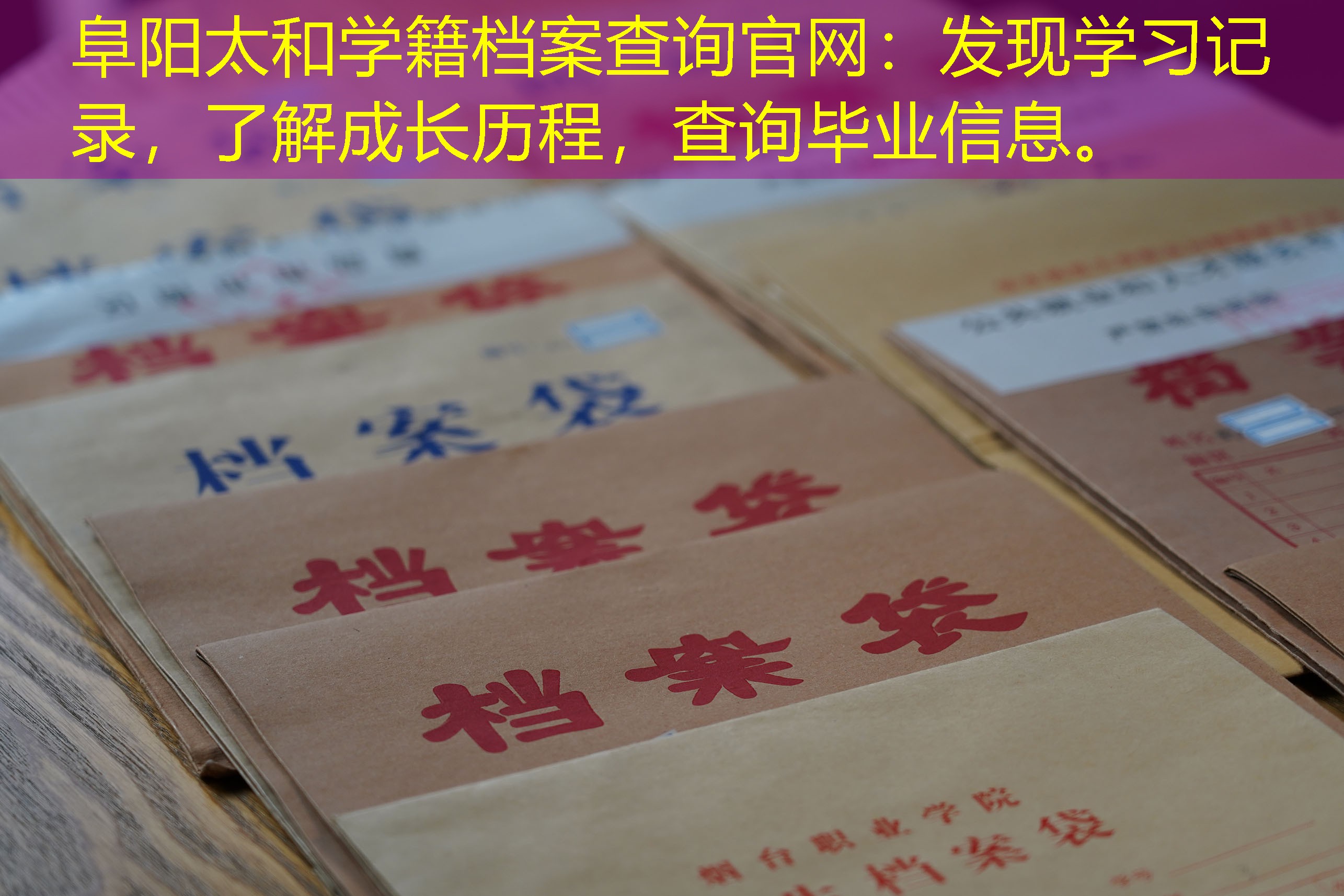 档案查询