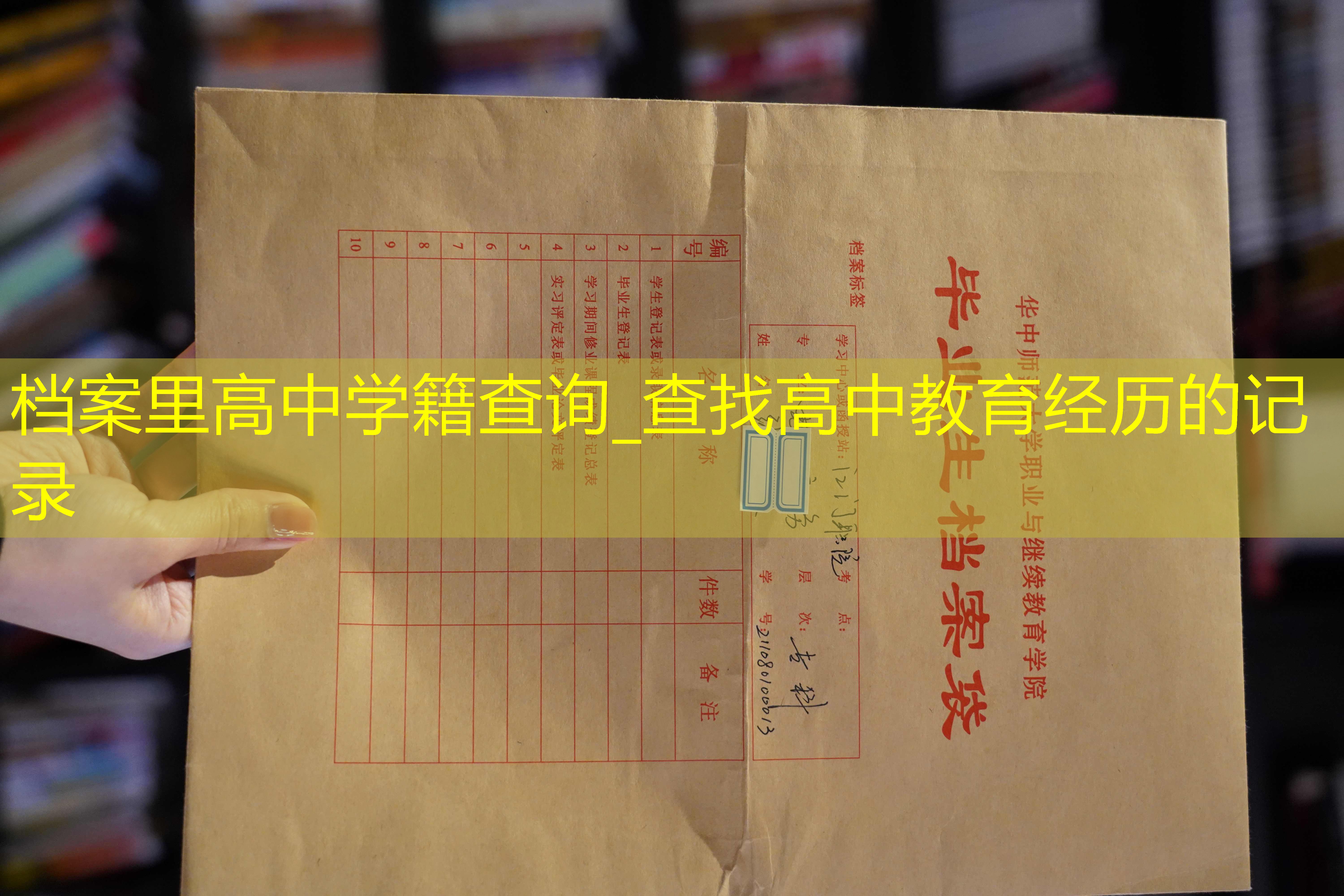 档案查询