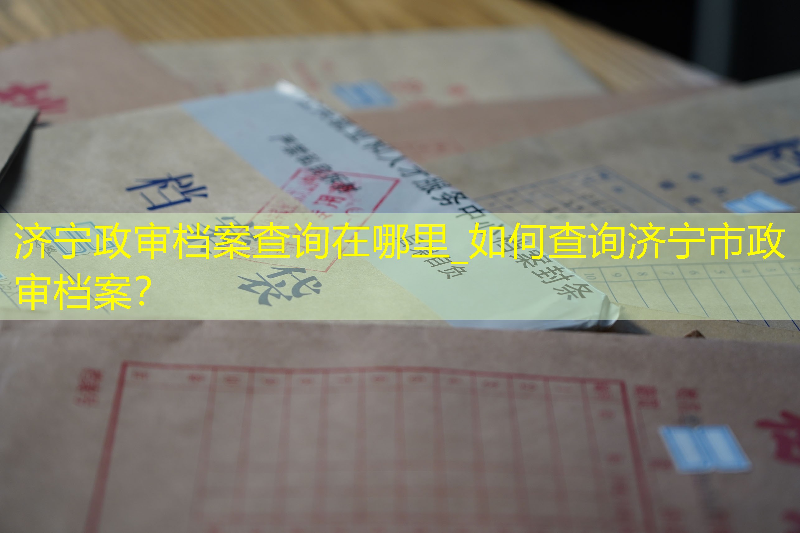 档案查询
