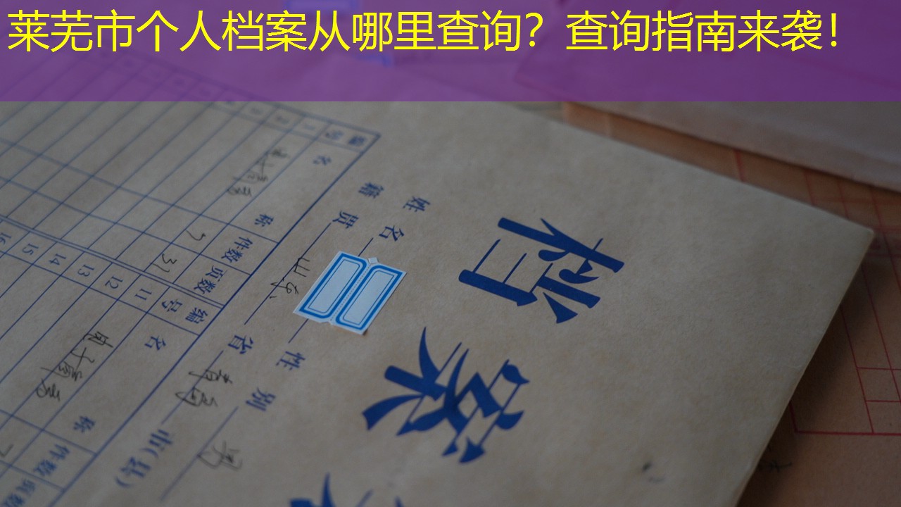 档案查询