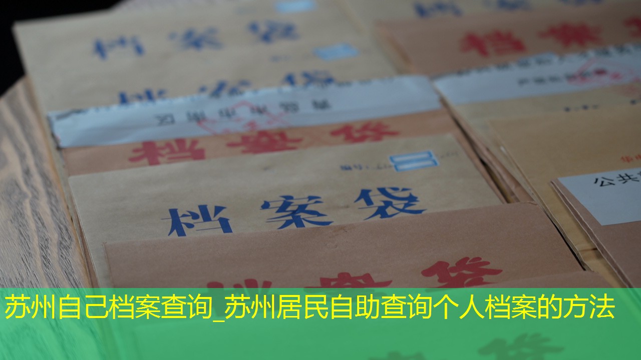 档案查询