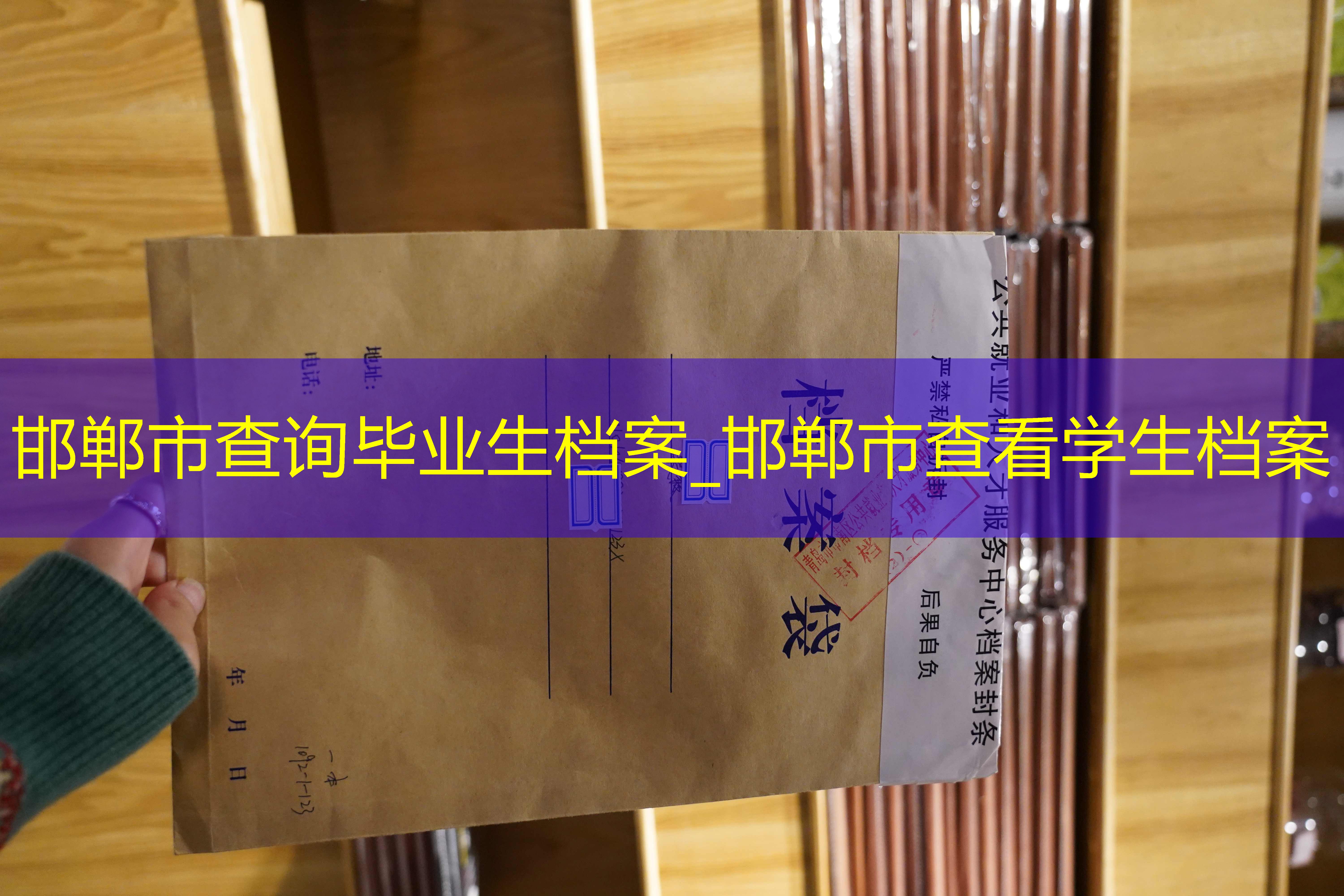 档案查询