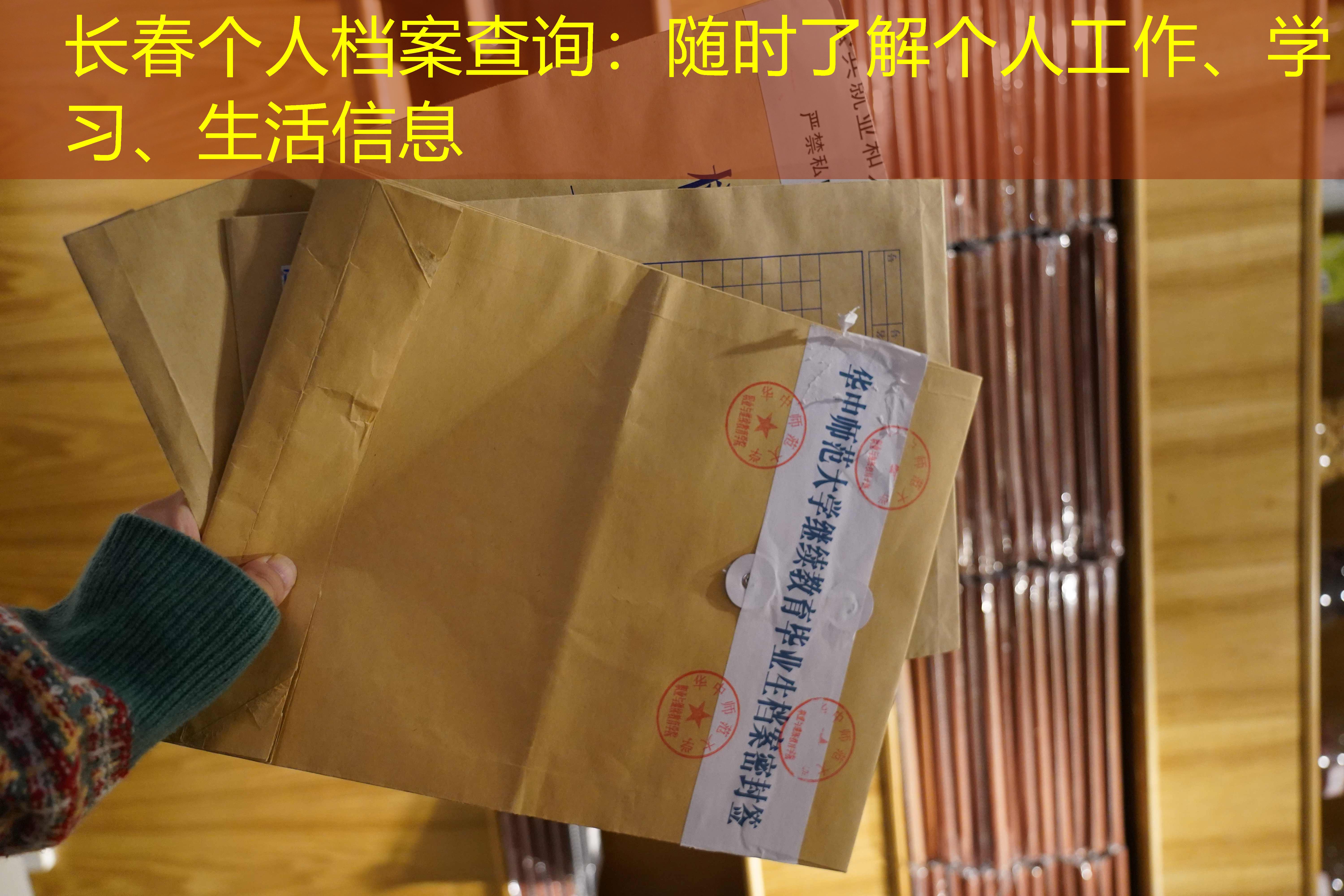 档案查询