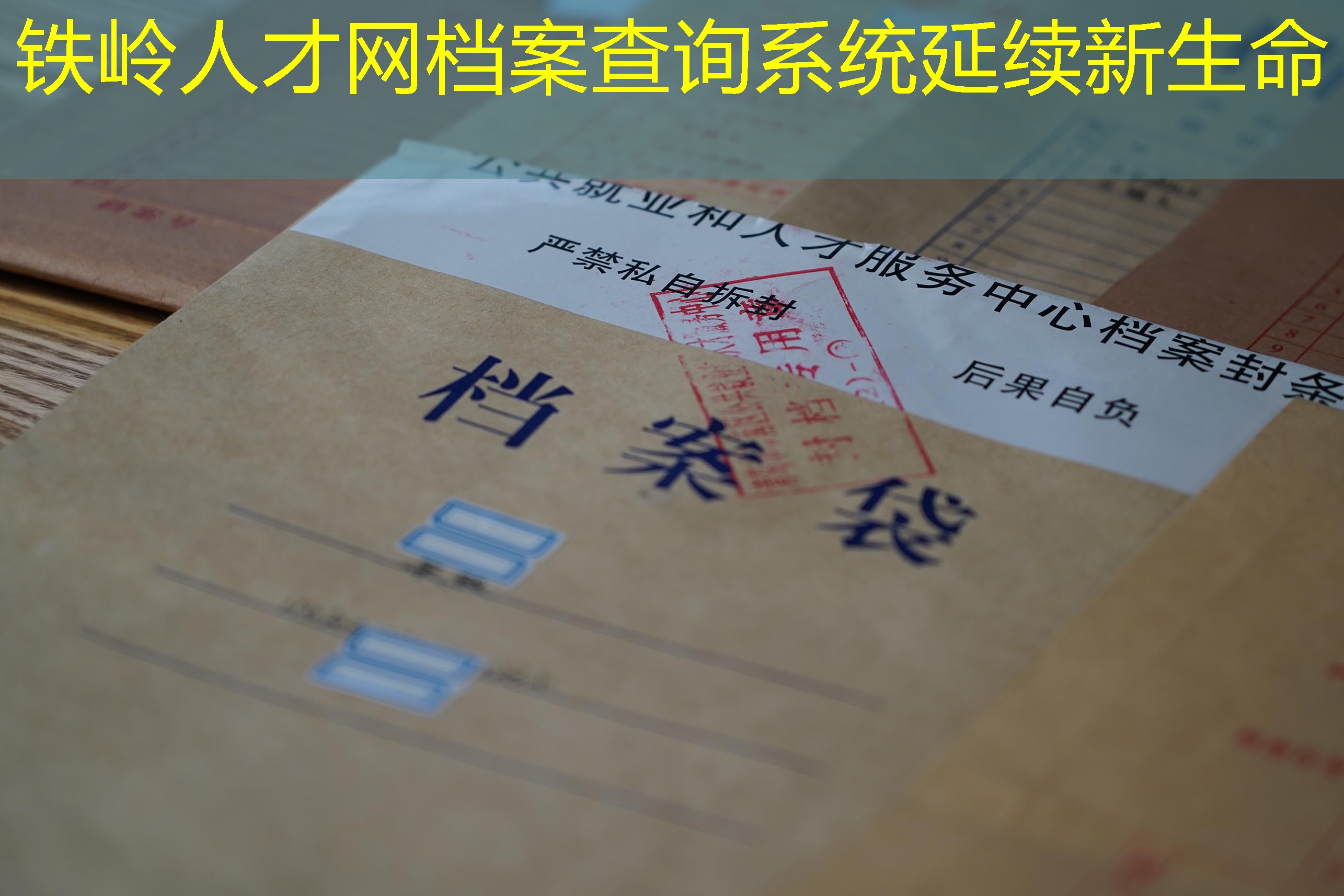 档案查询