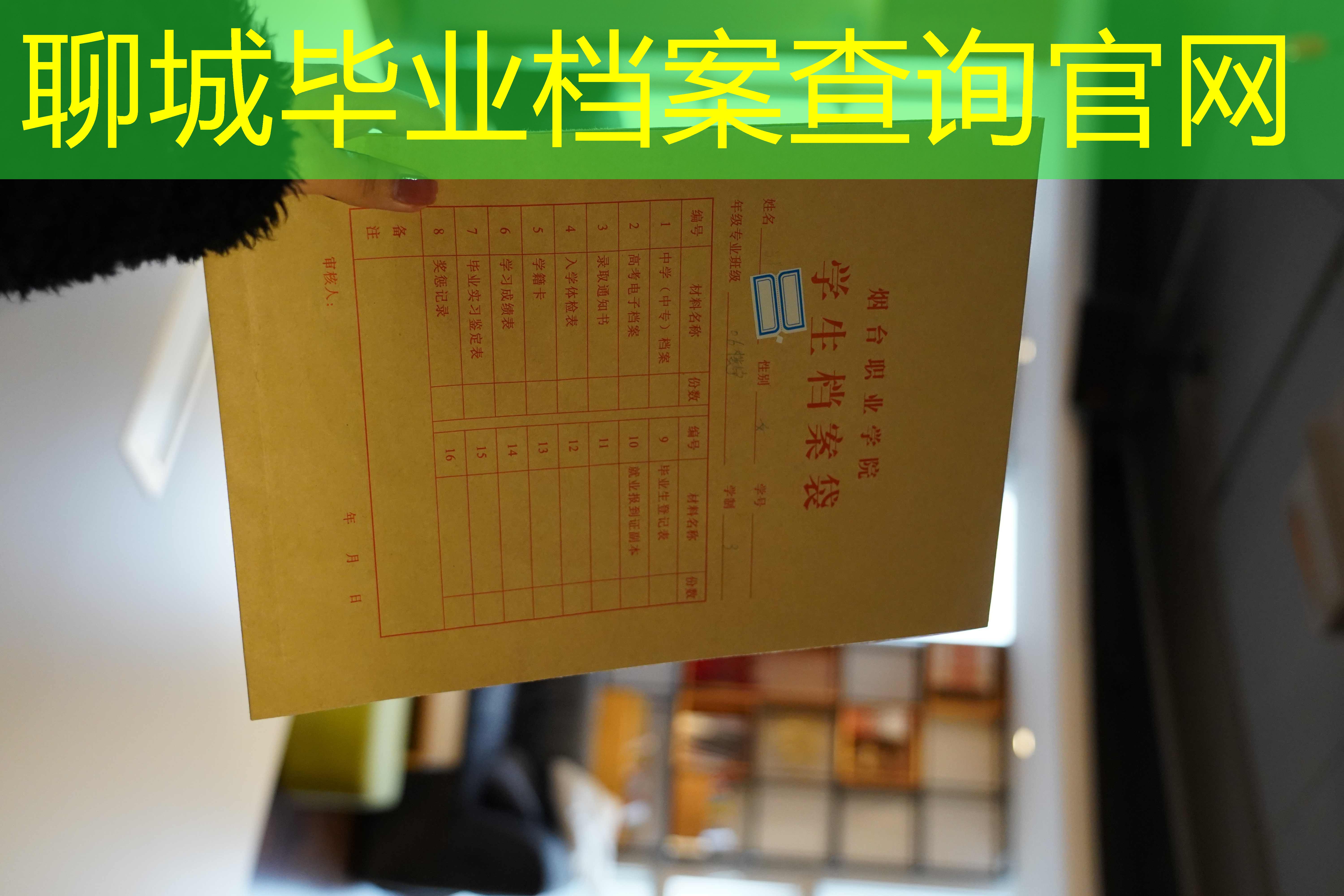档案查询