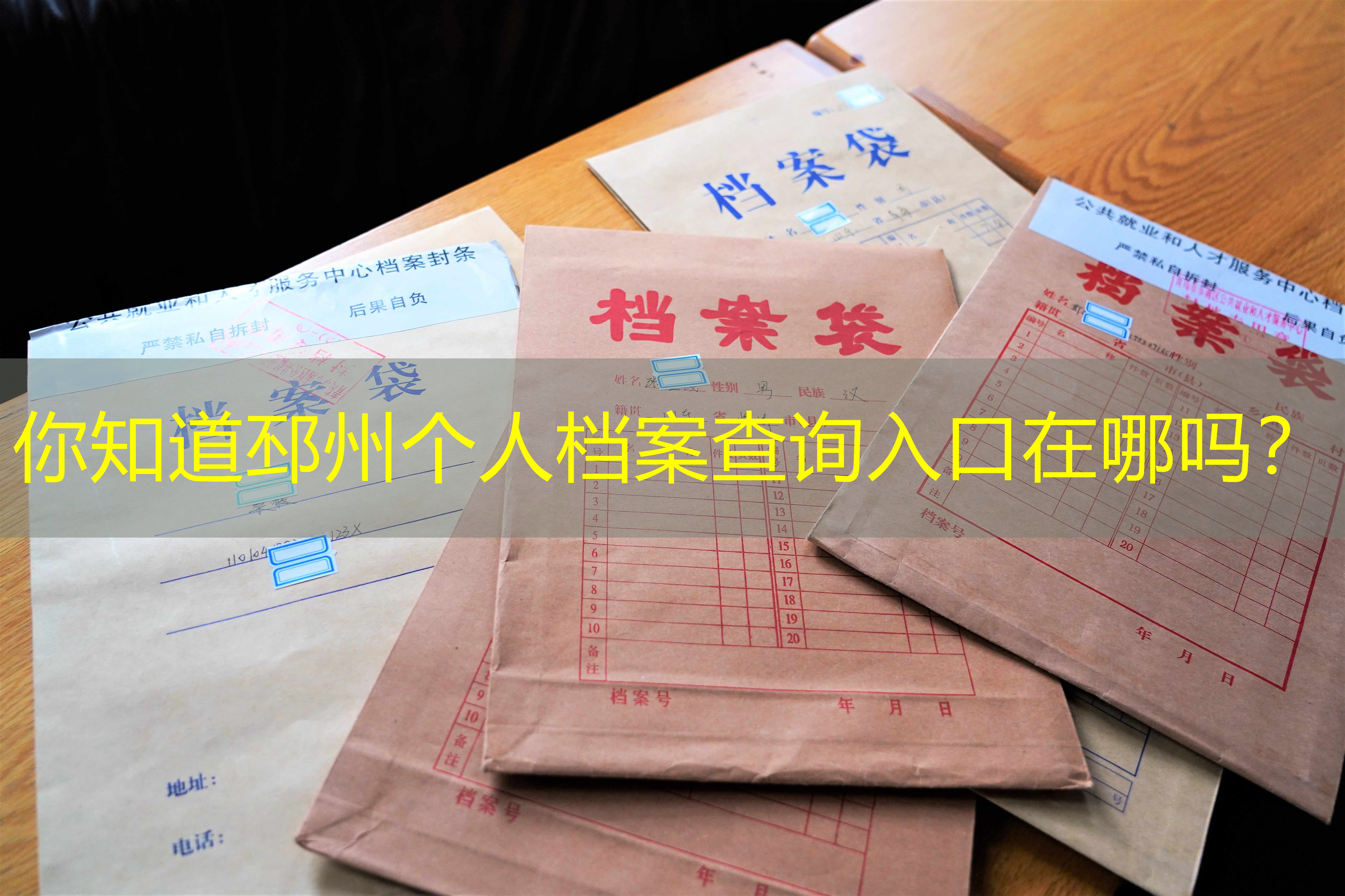档案查询