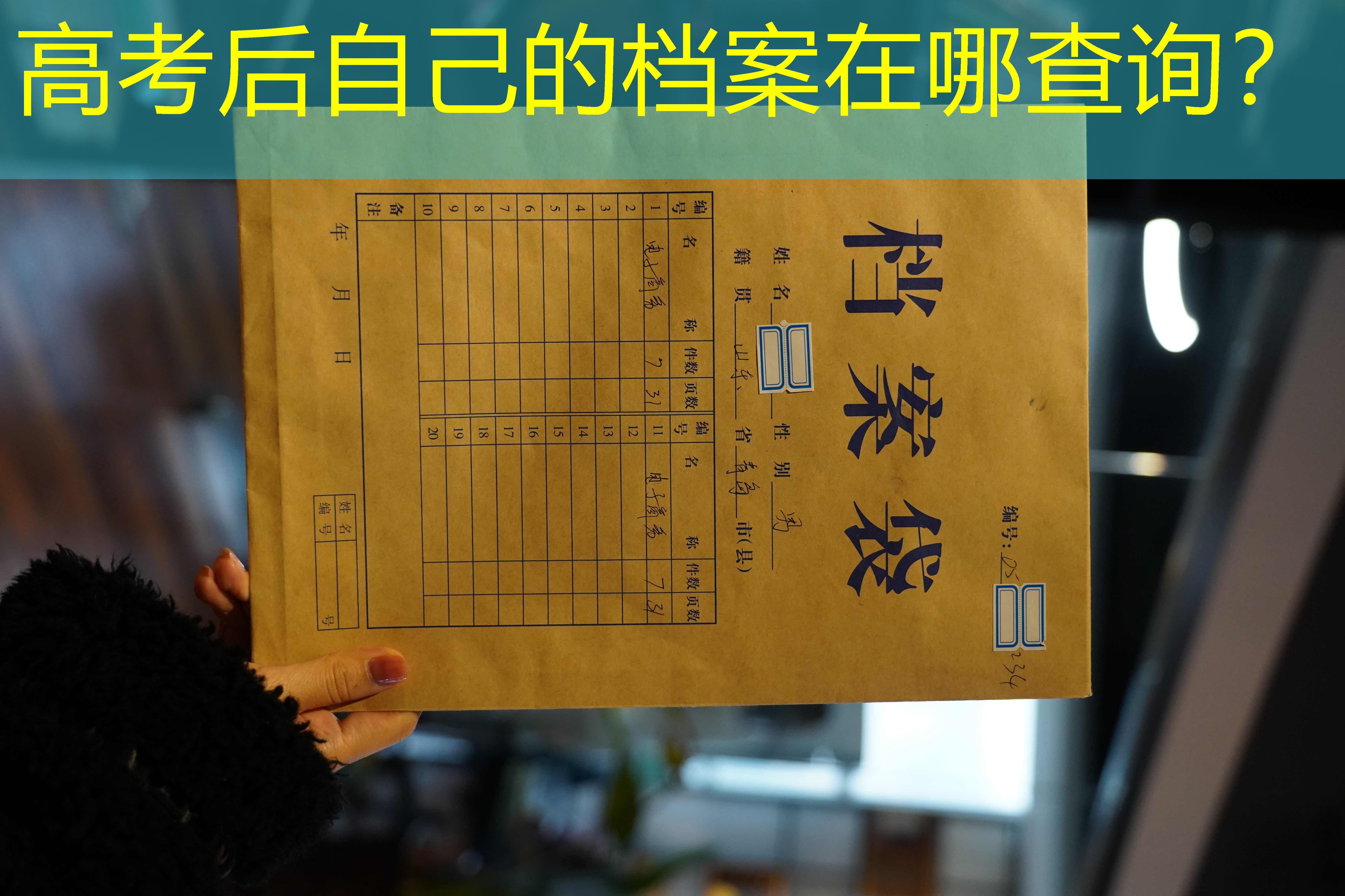档案查询