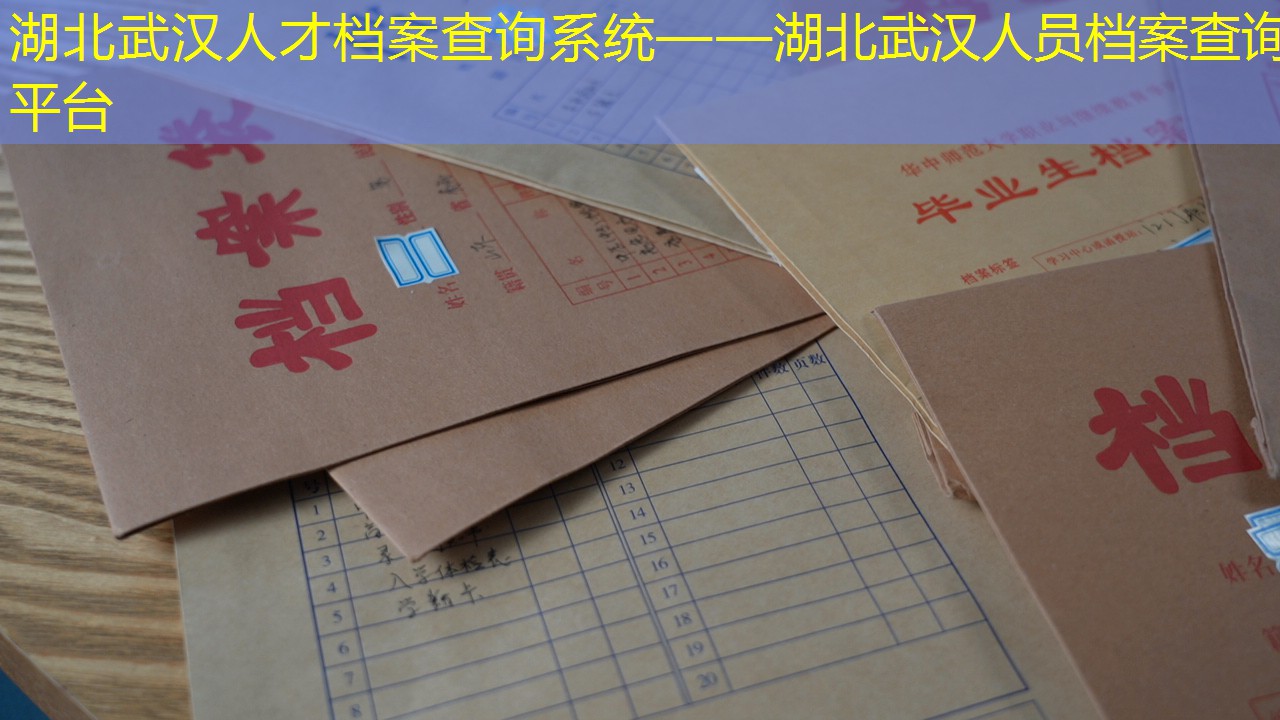 档案查询