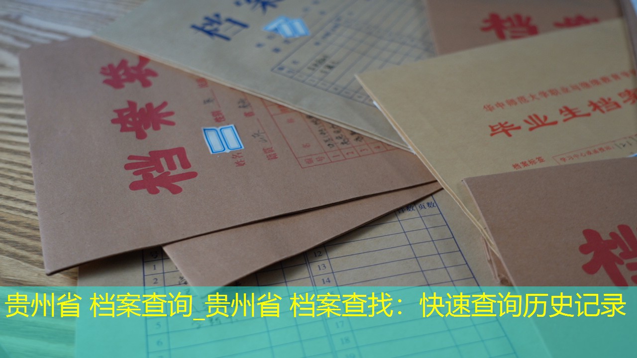 档案查询