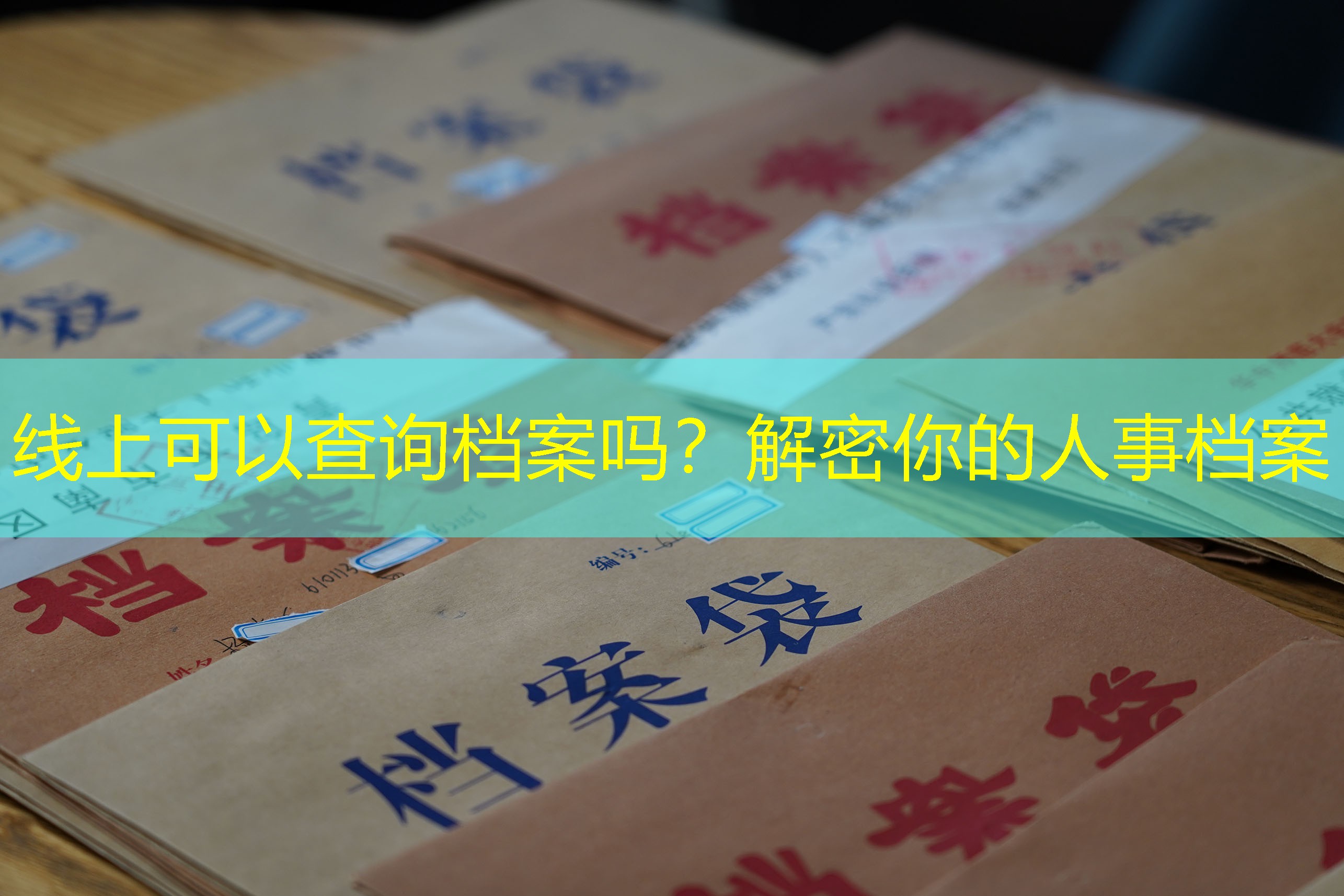 档案查询