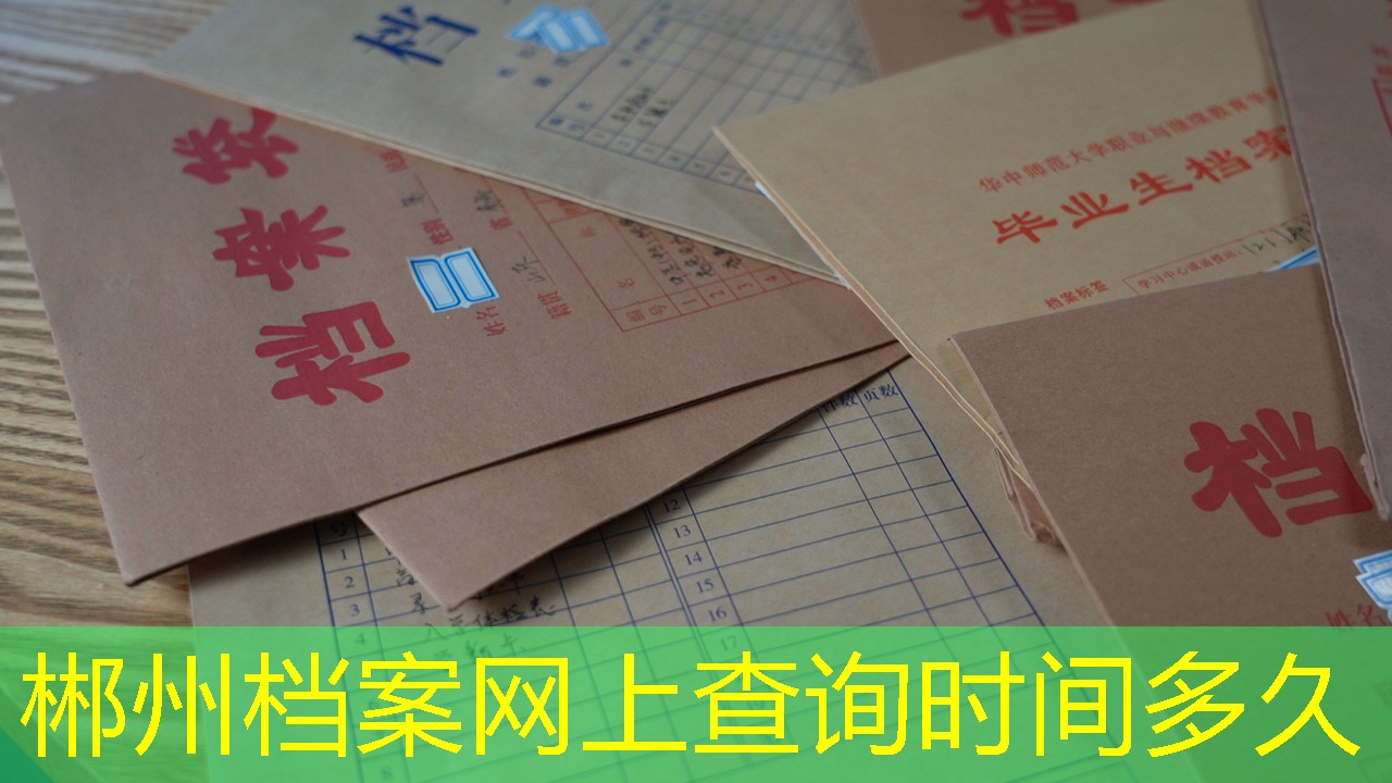 档案查询