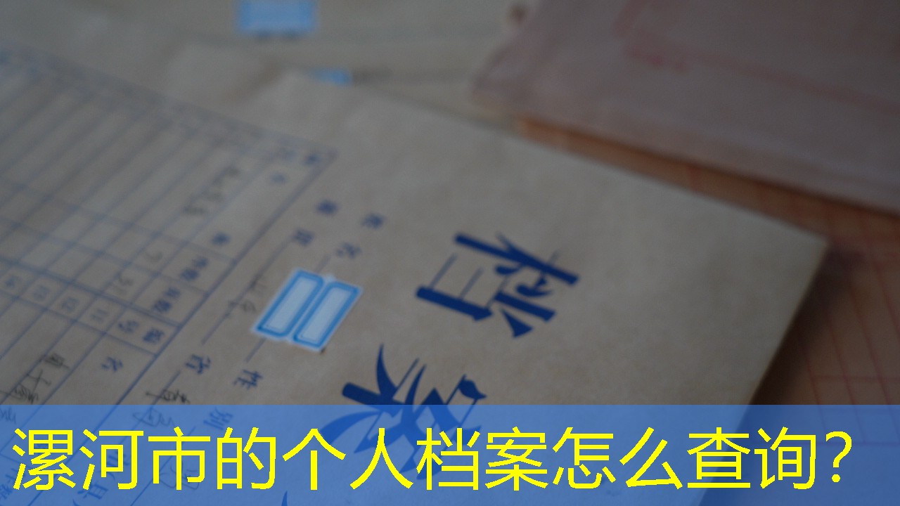 档案查询