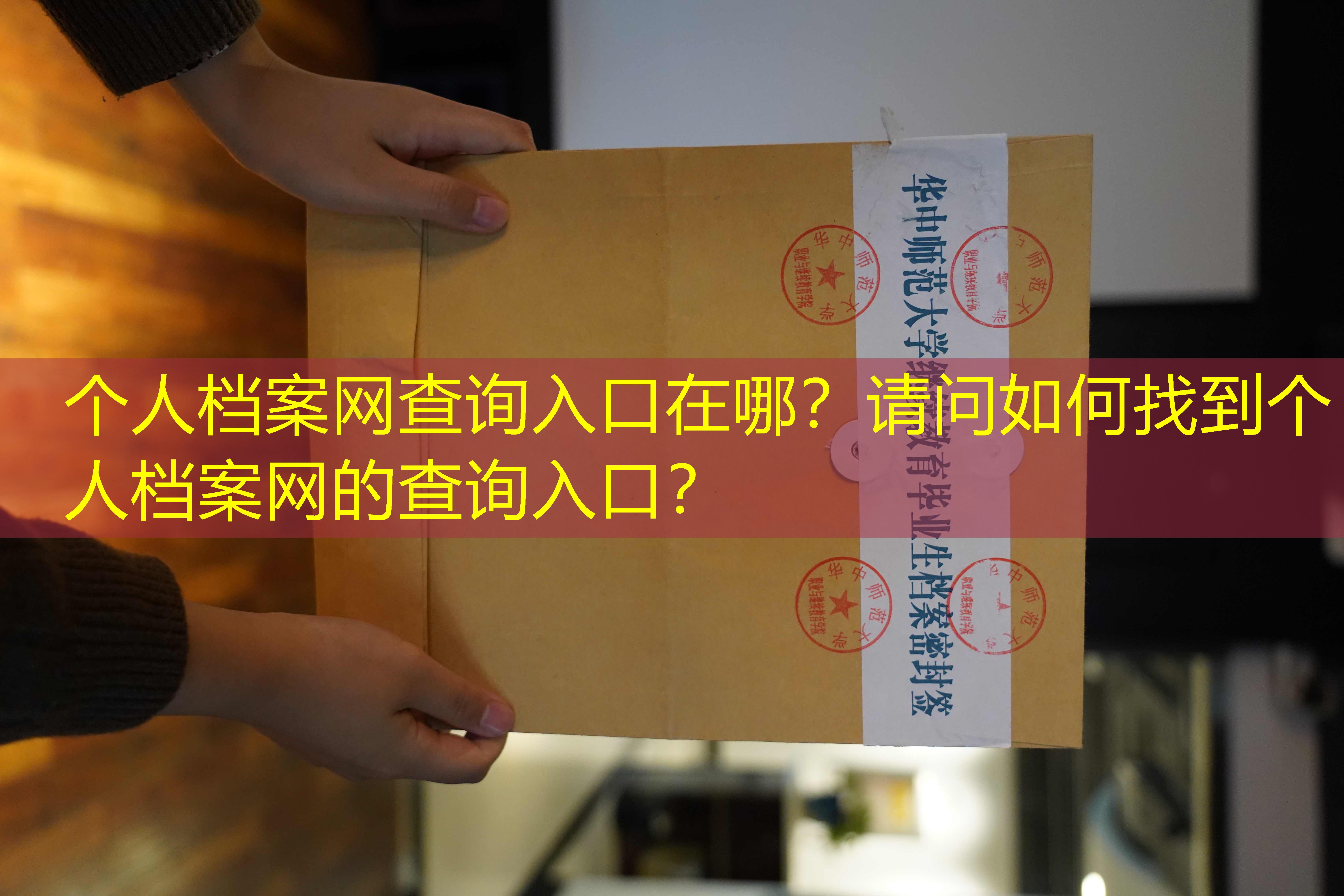 档案查询
