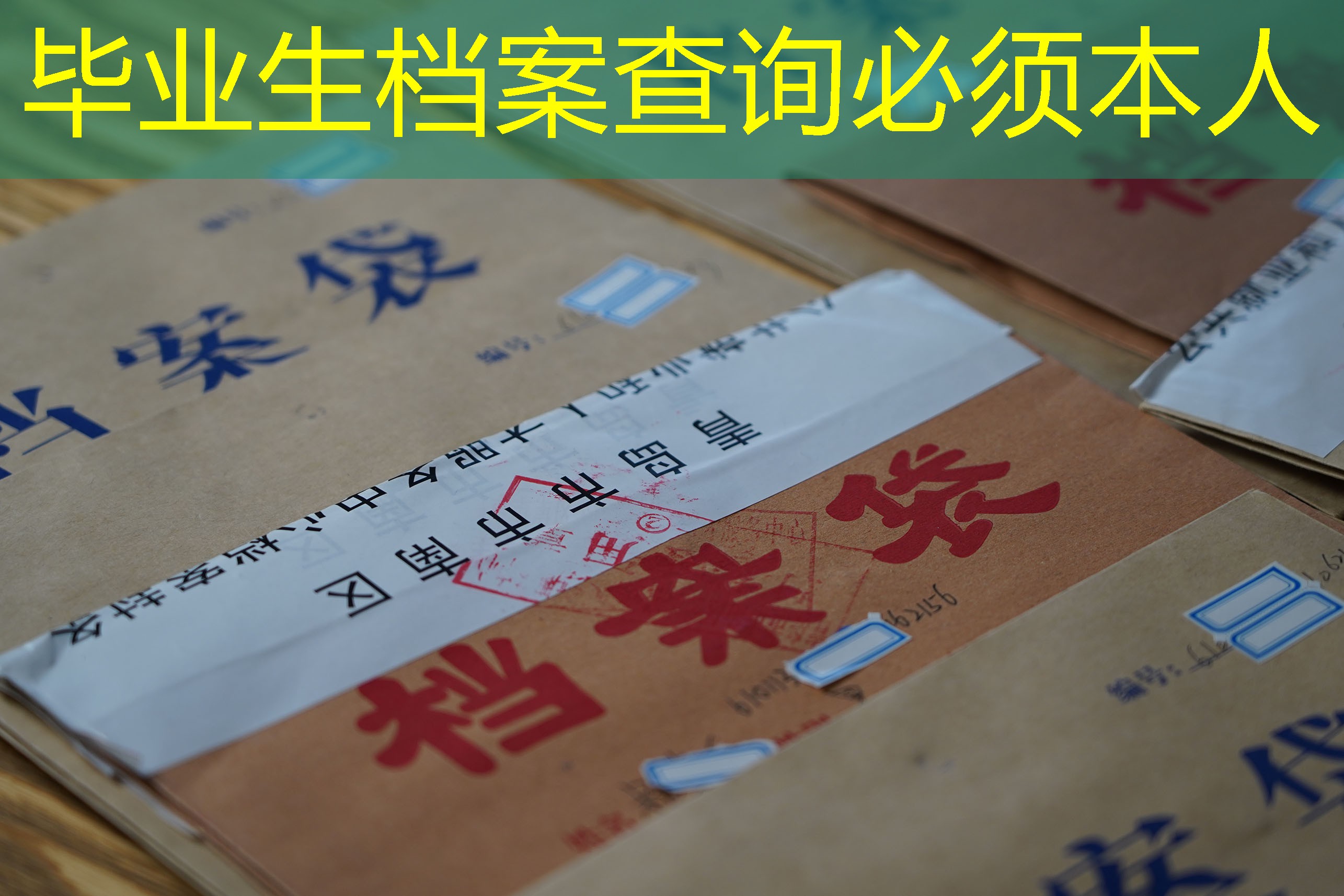 档案查询