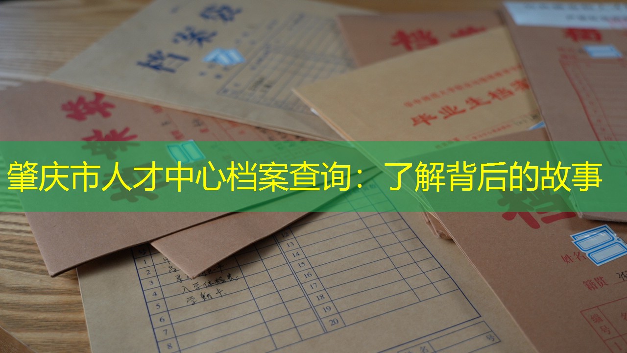 档案查询