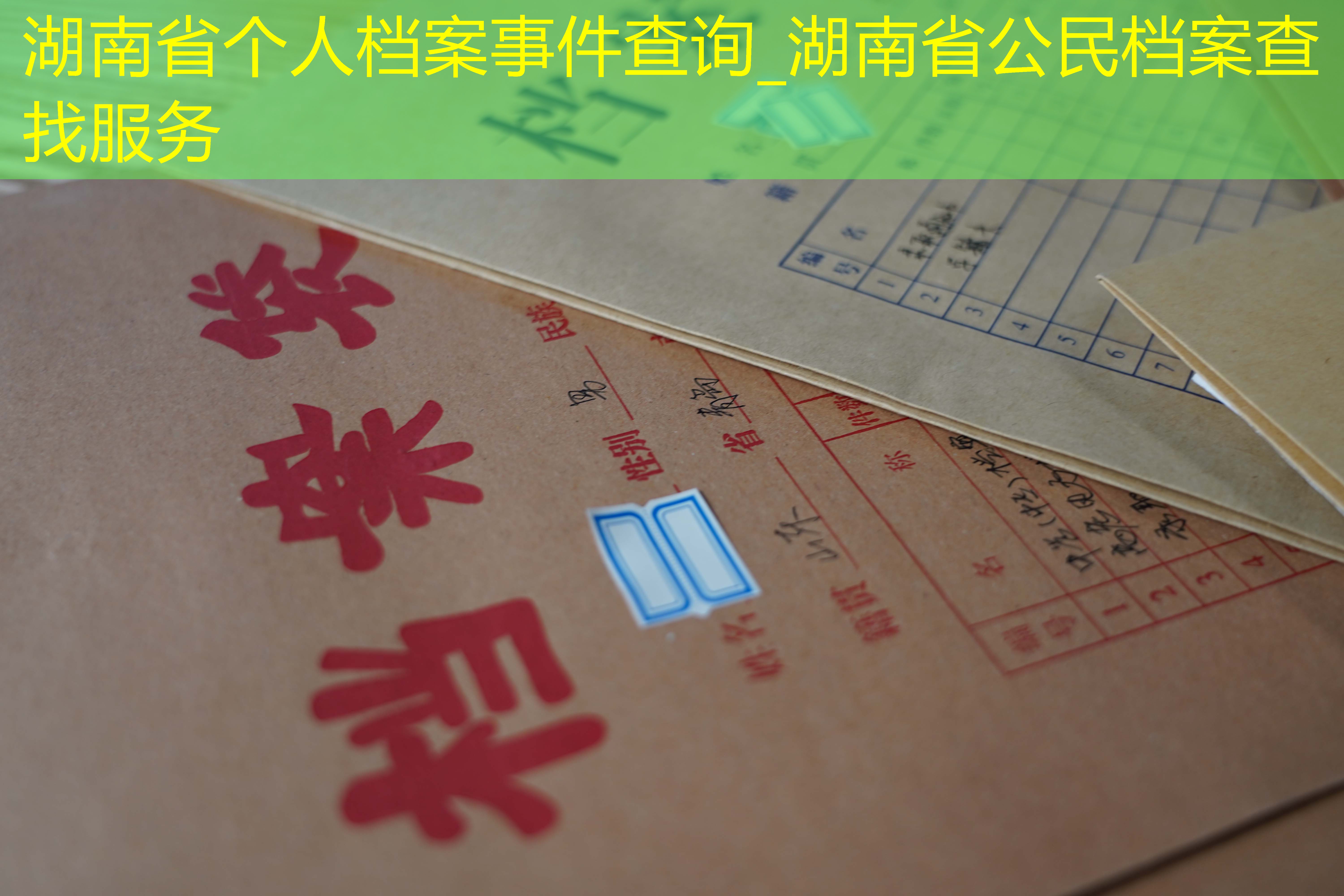 档案查询