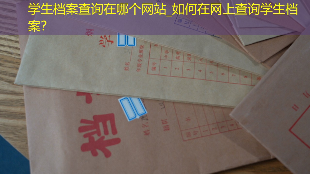 档案查询