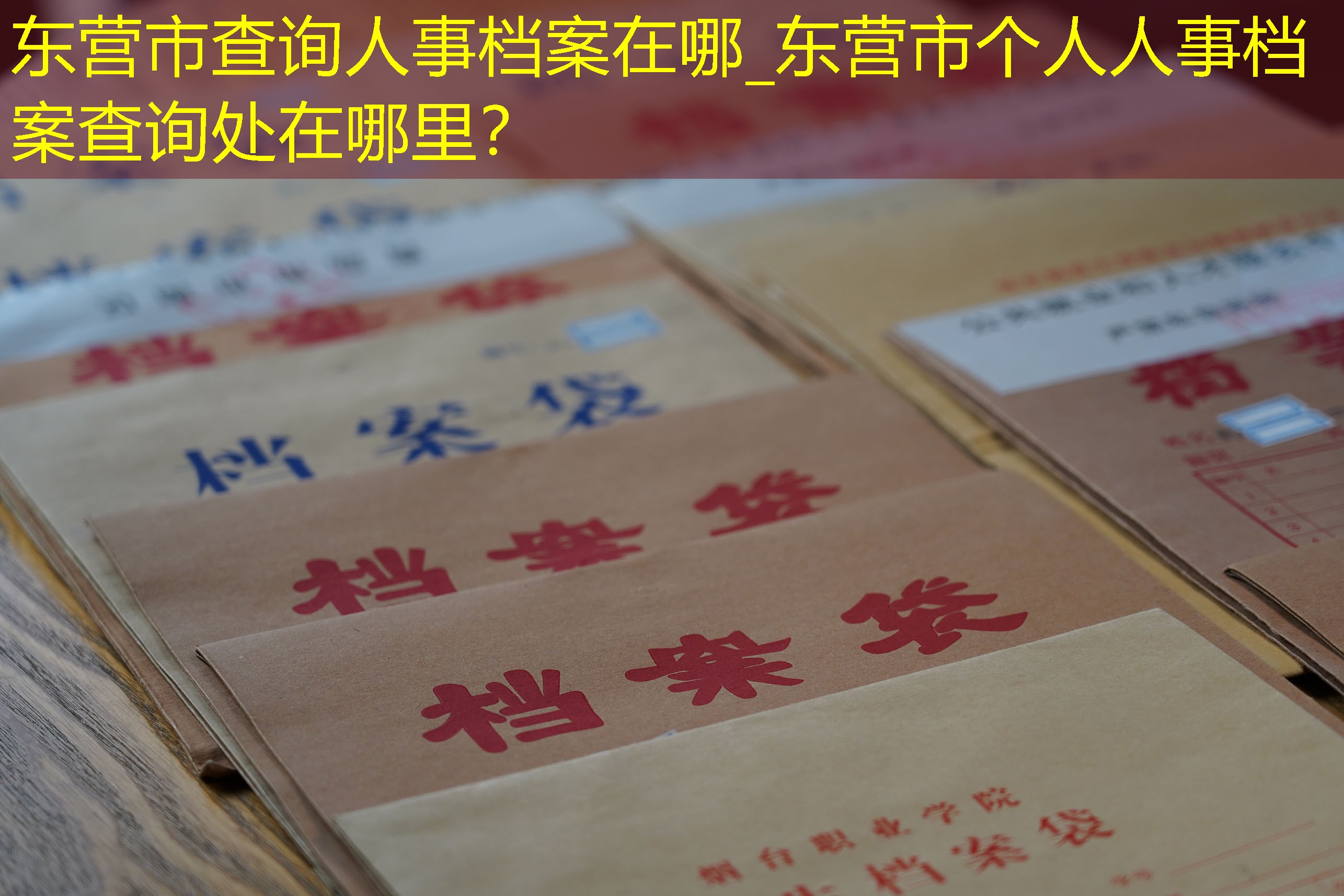 档案查询