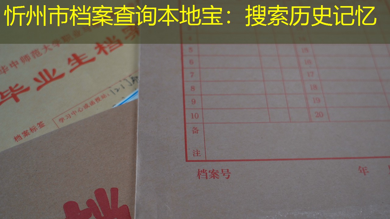 档案查询