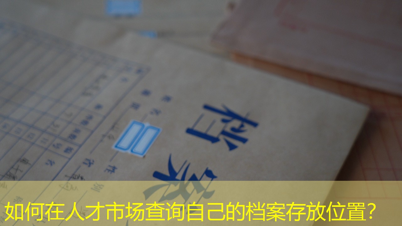 档案查询