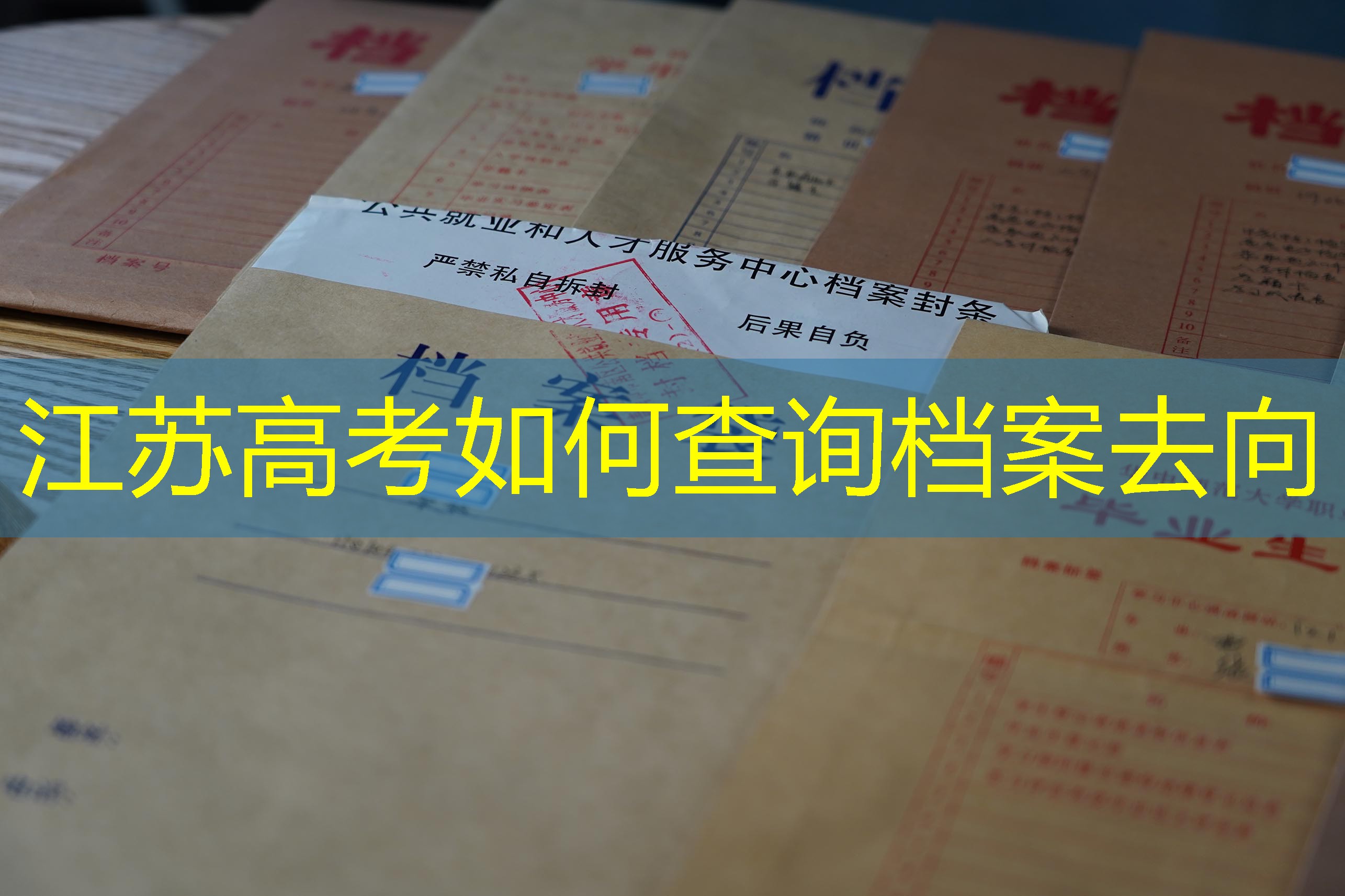 档案查询