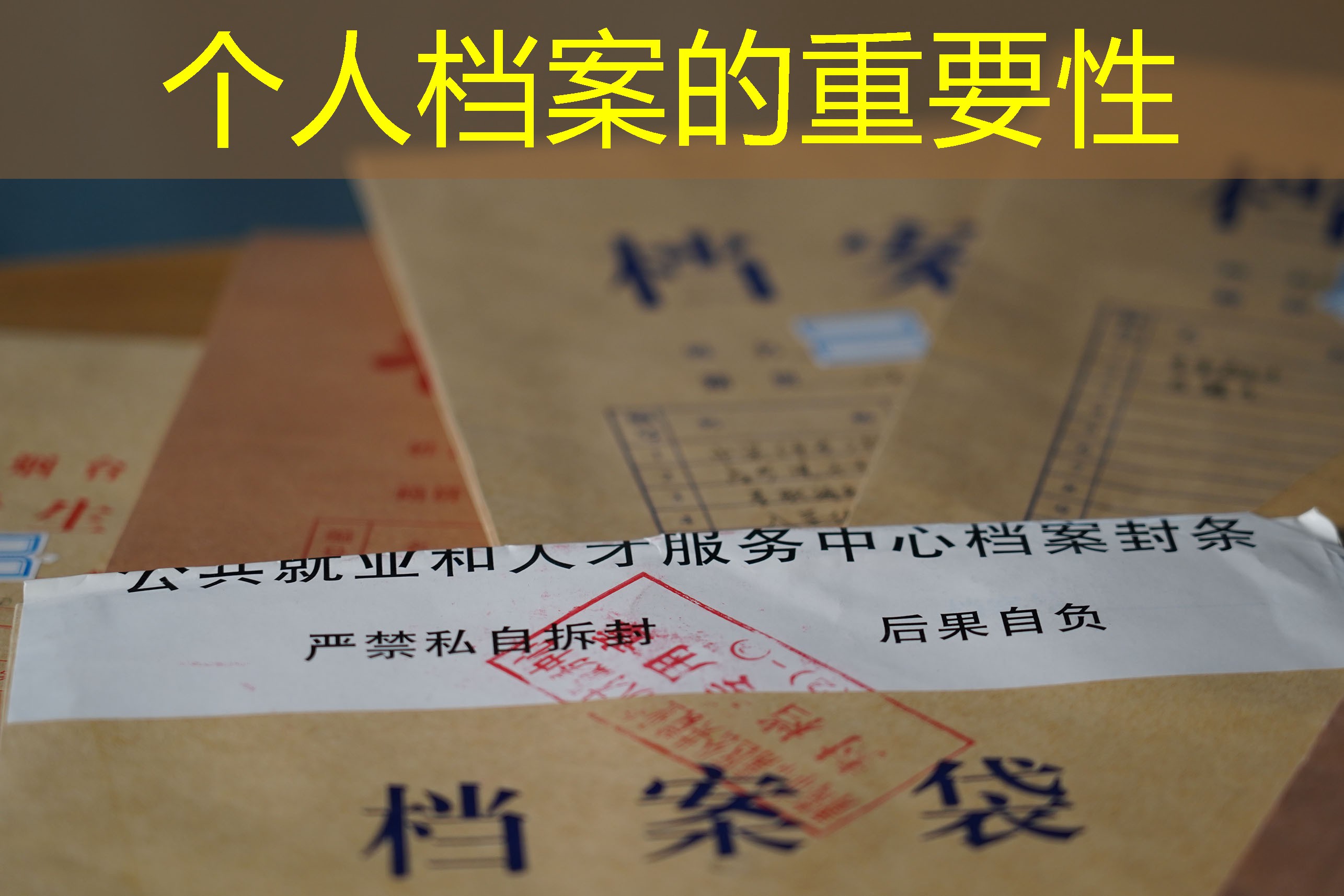 档案查询