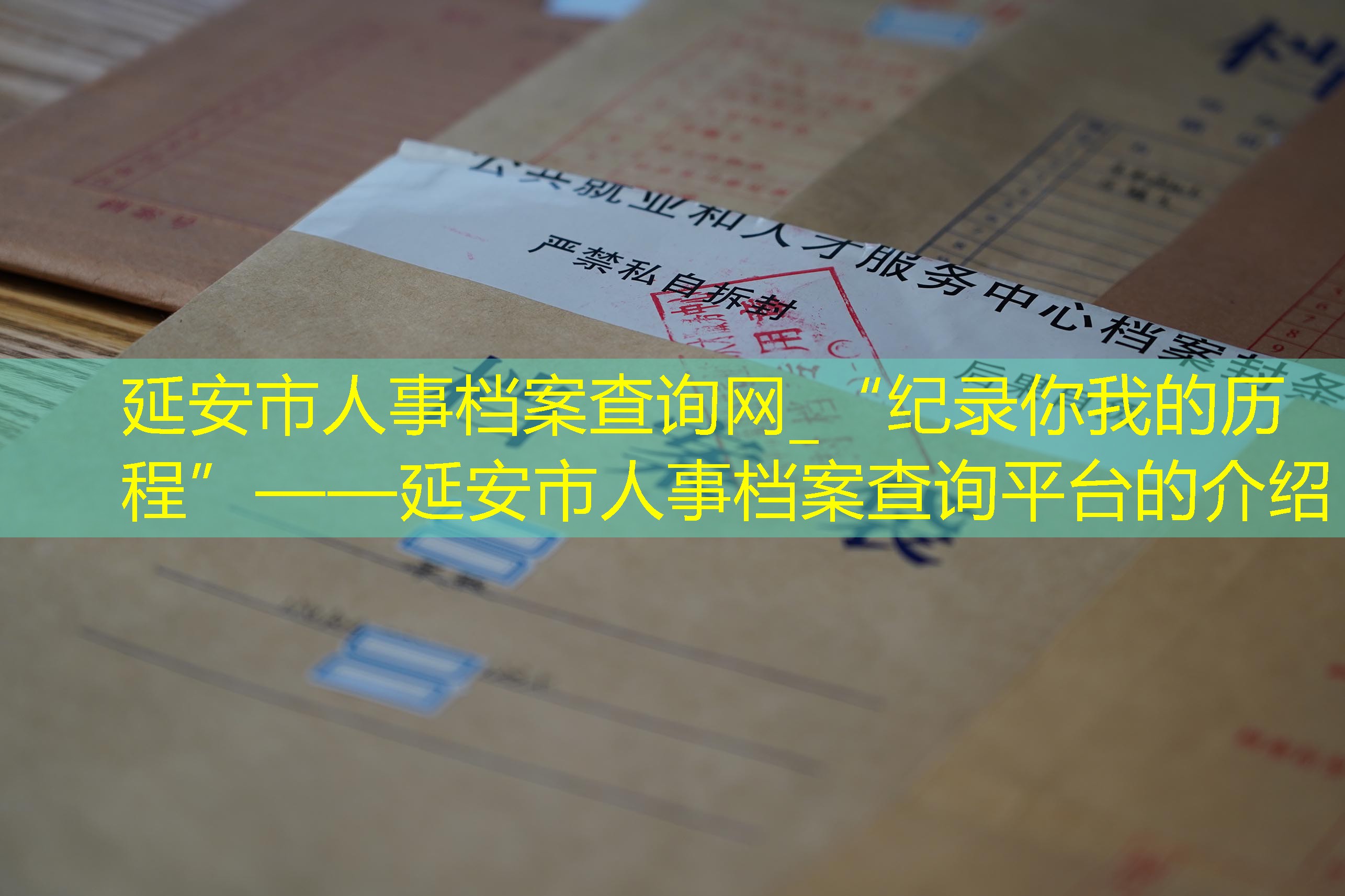 档案查询