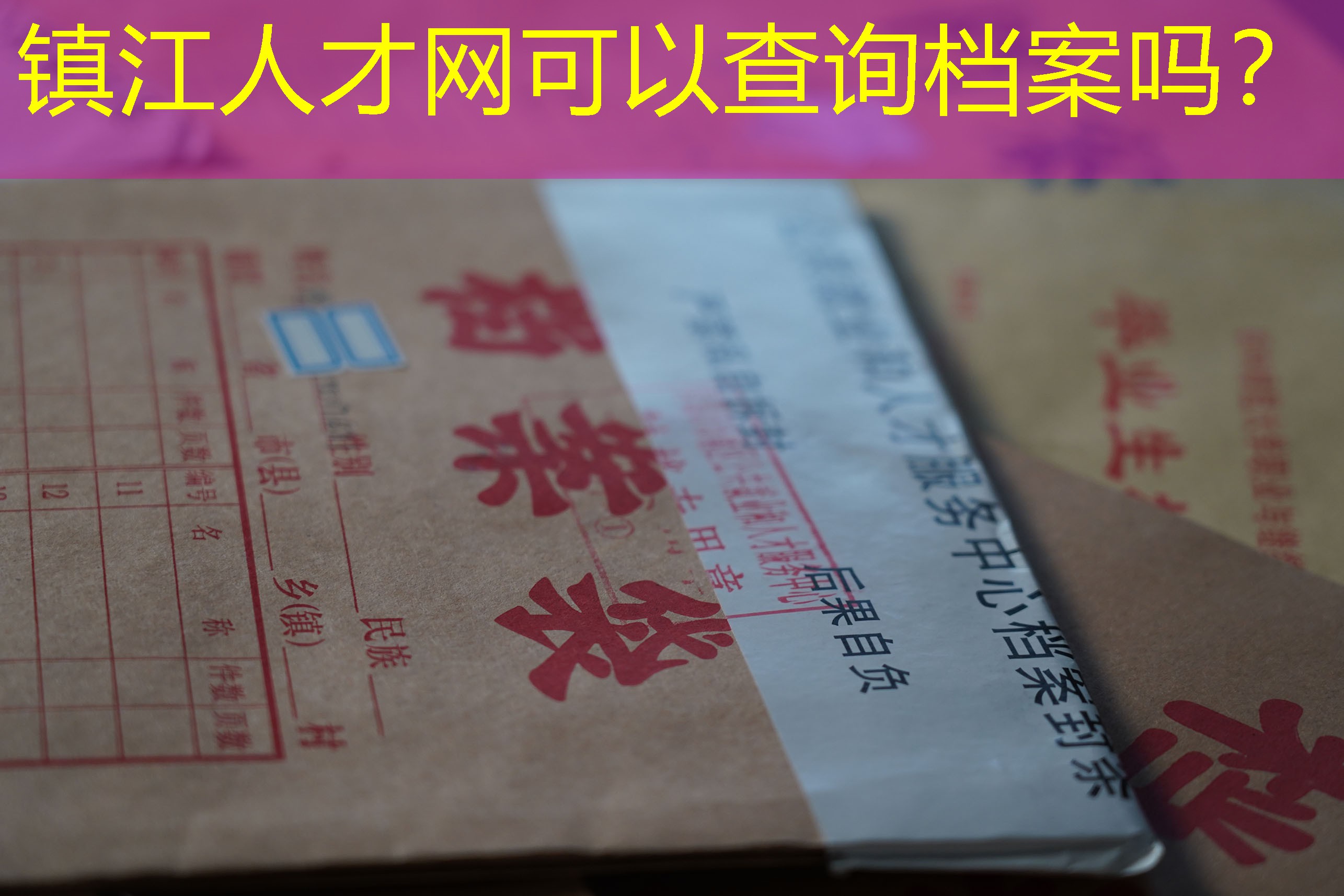 档案查询