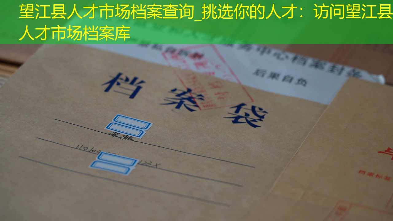 档案查询