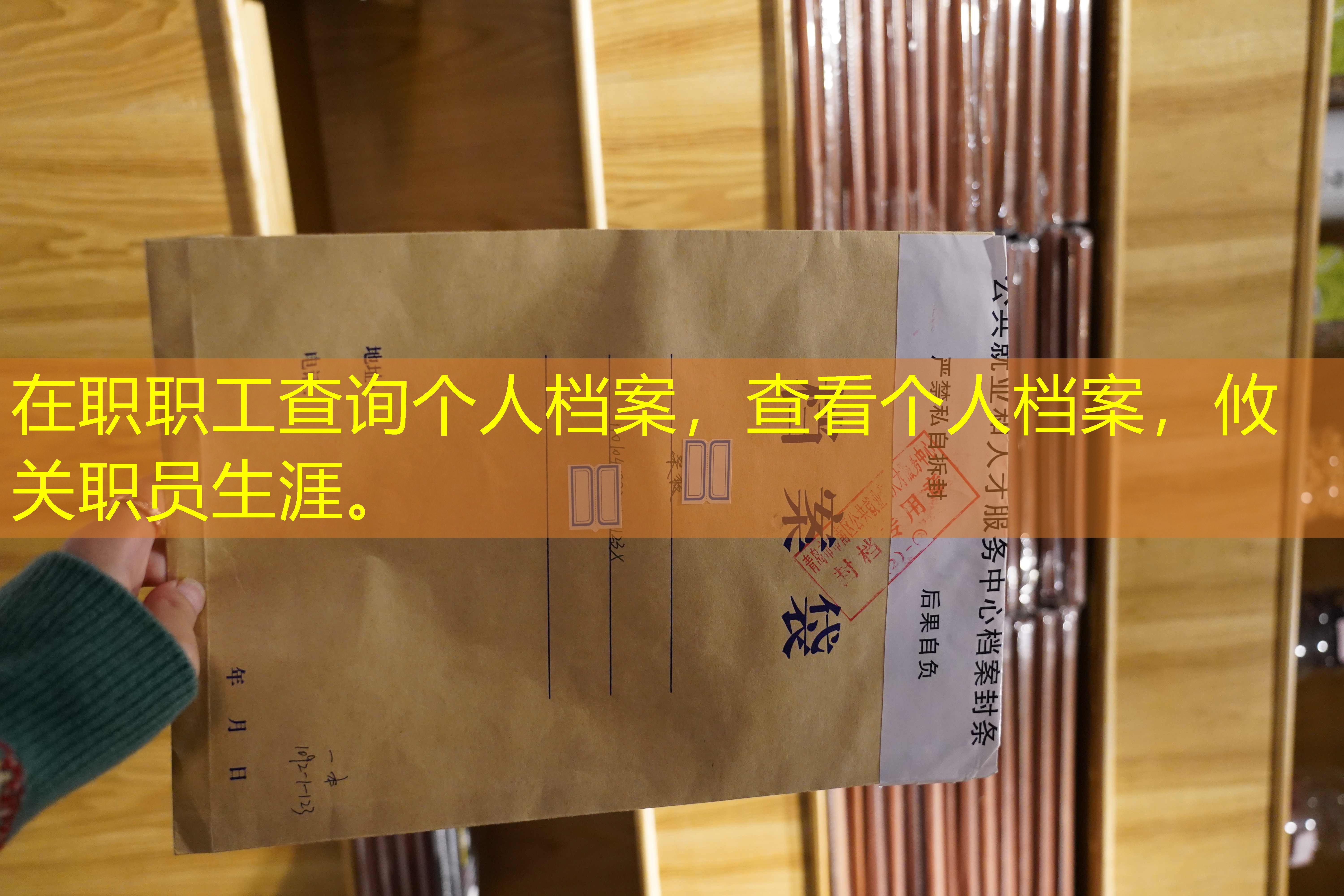 档案查询