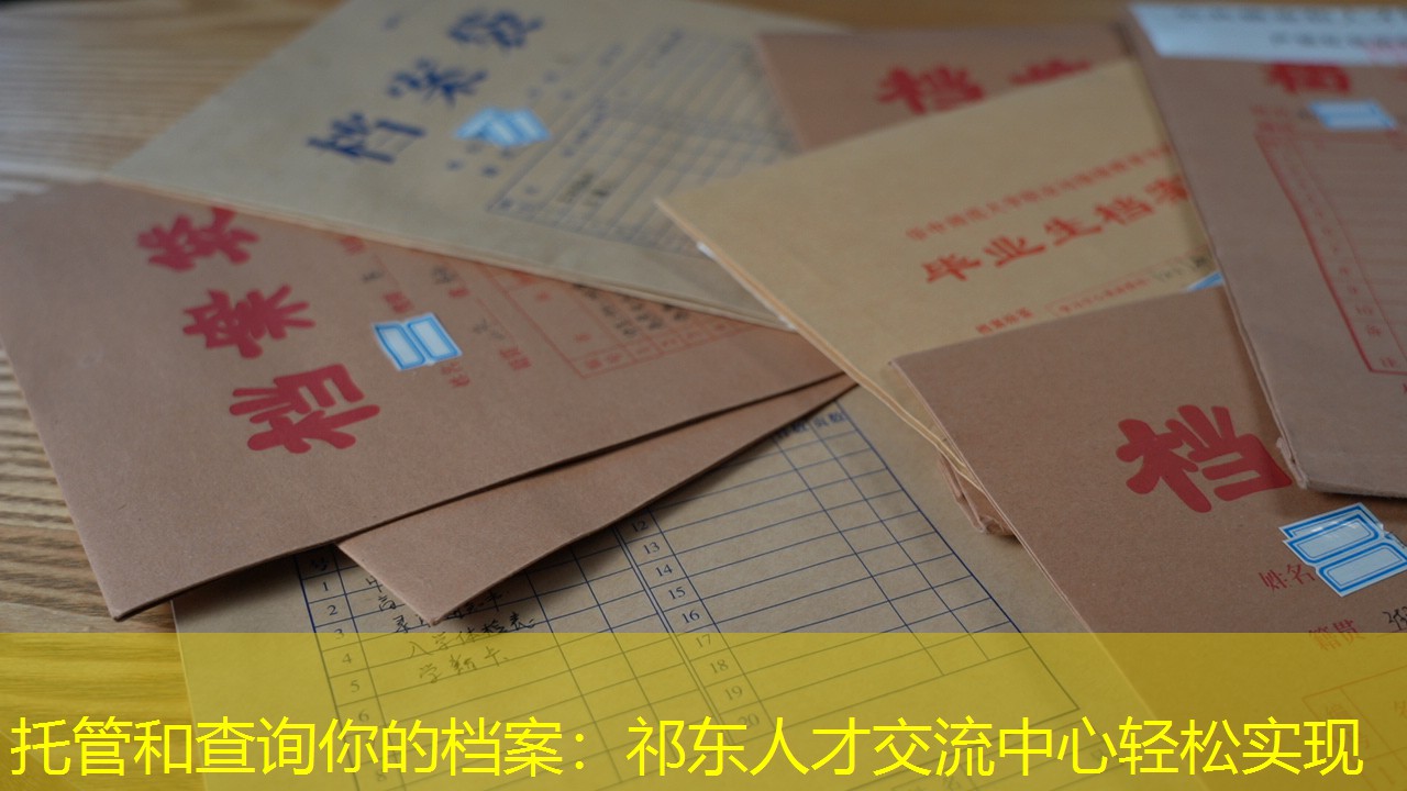 档案查询