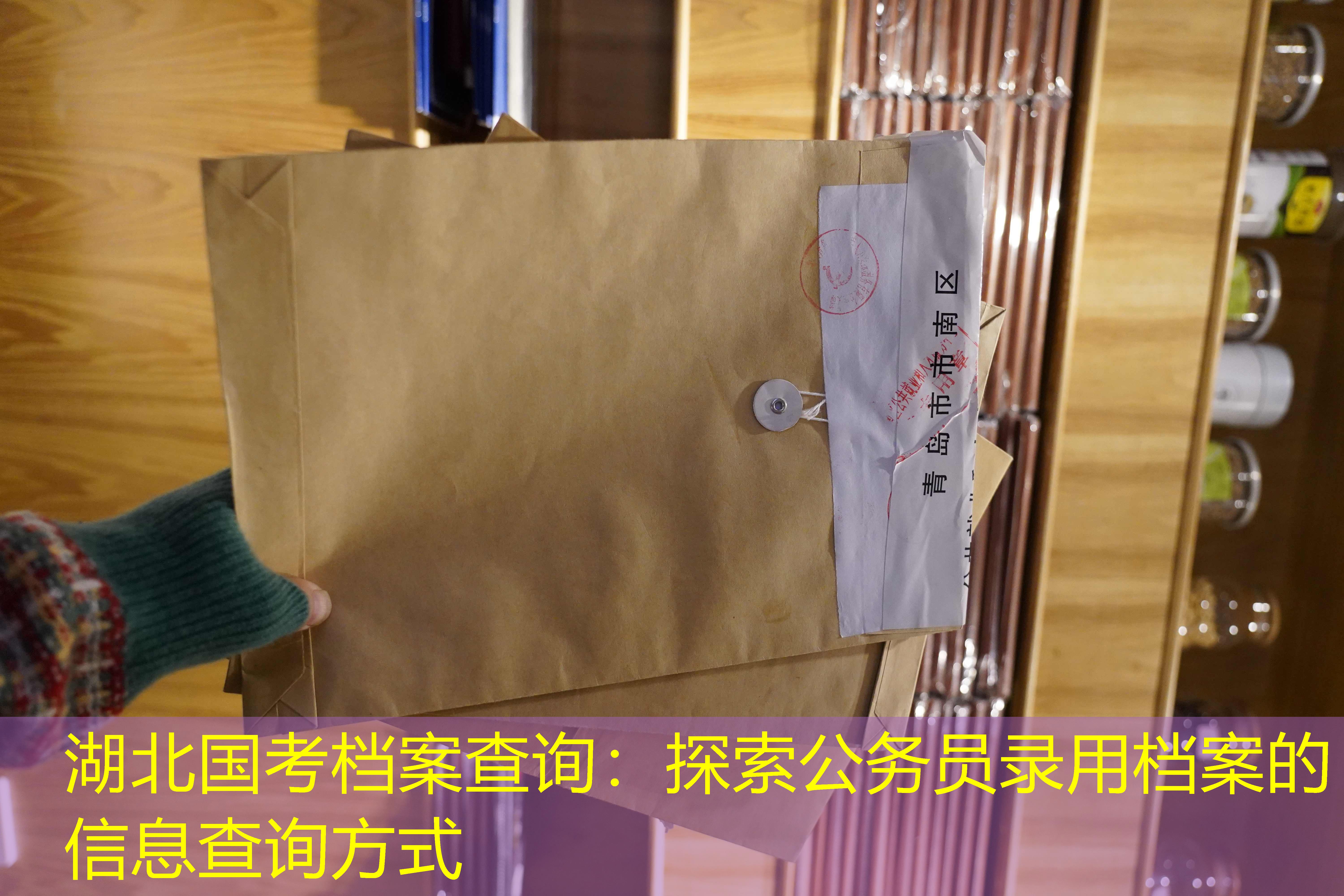 档案查询