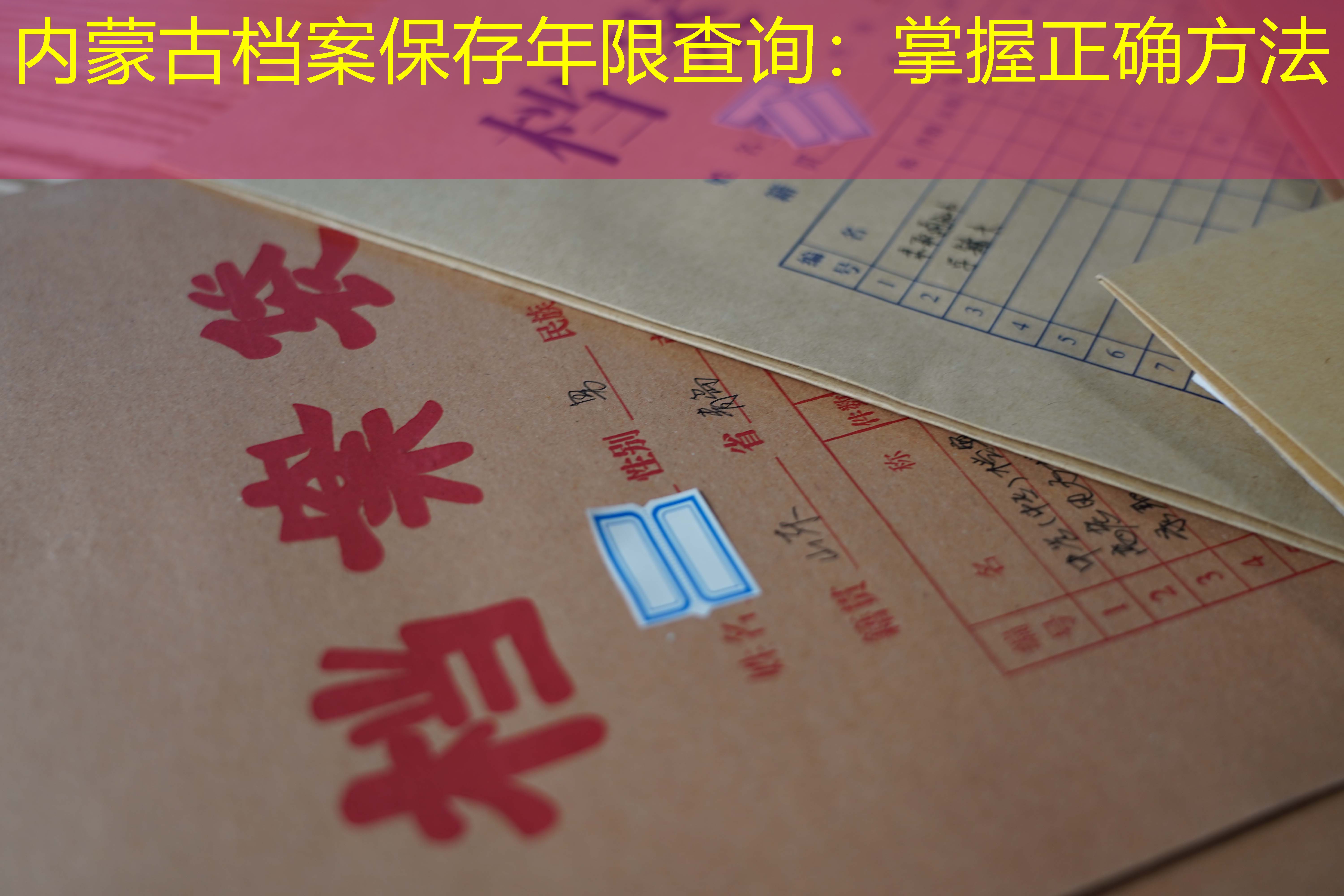 档案查询