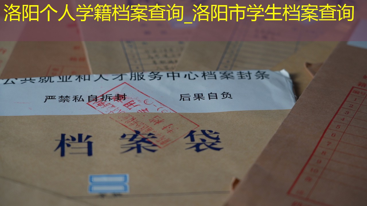 档案查询