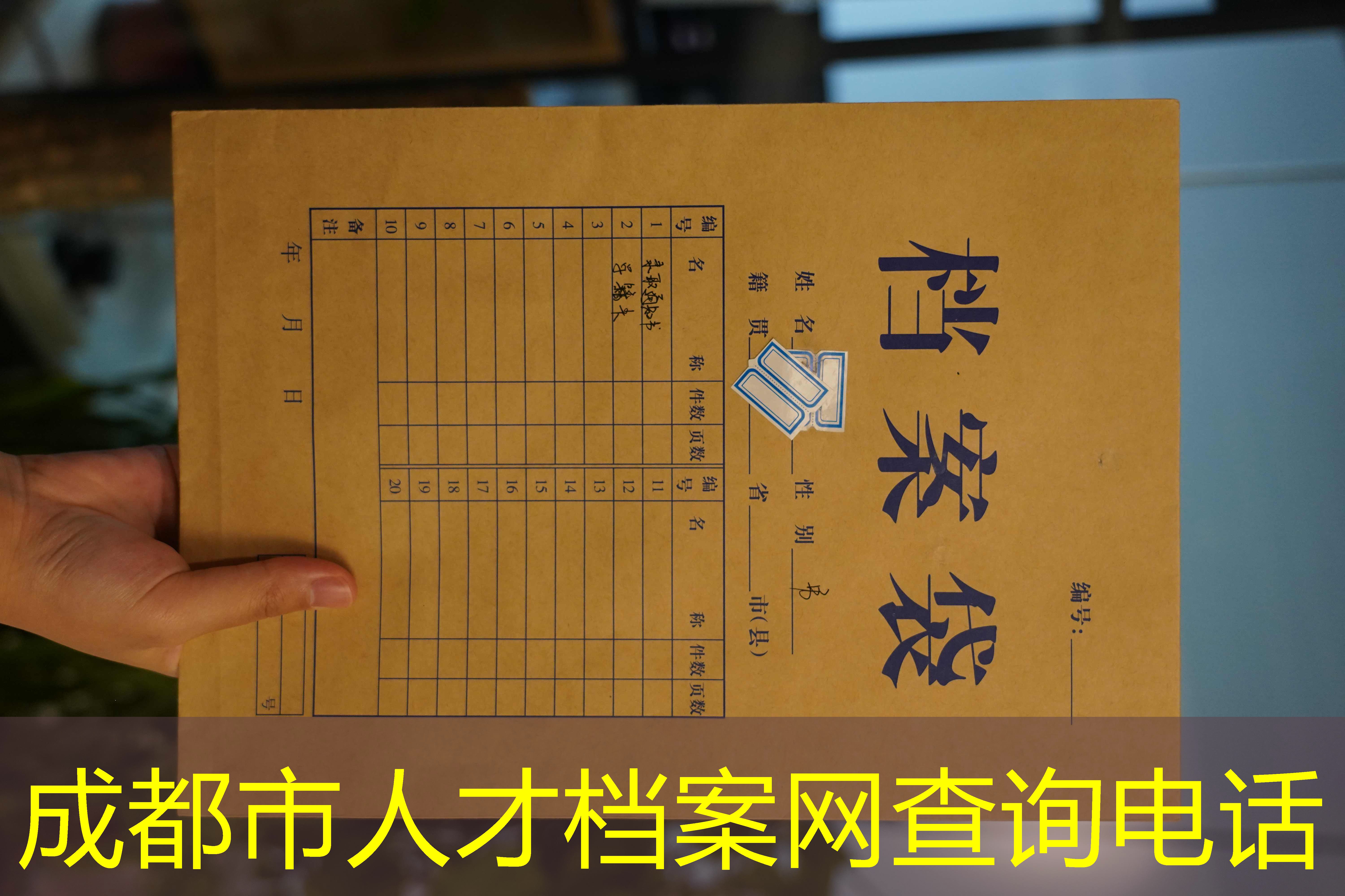 档案查询