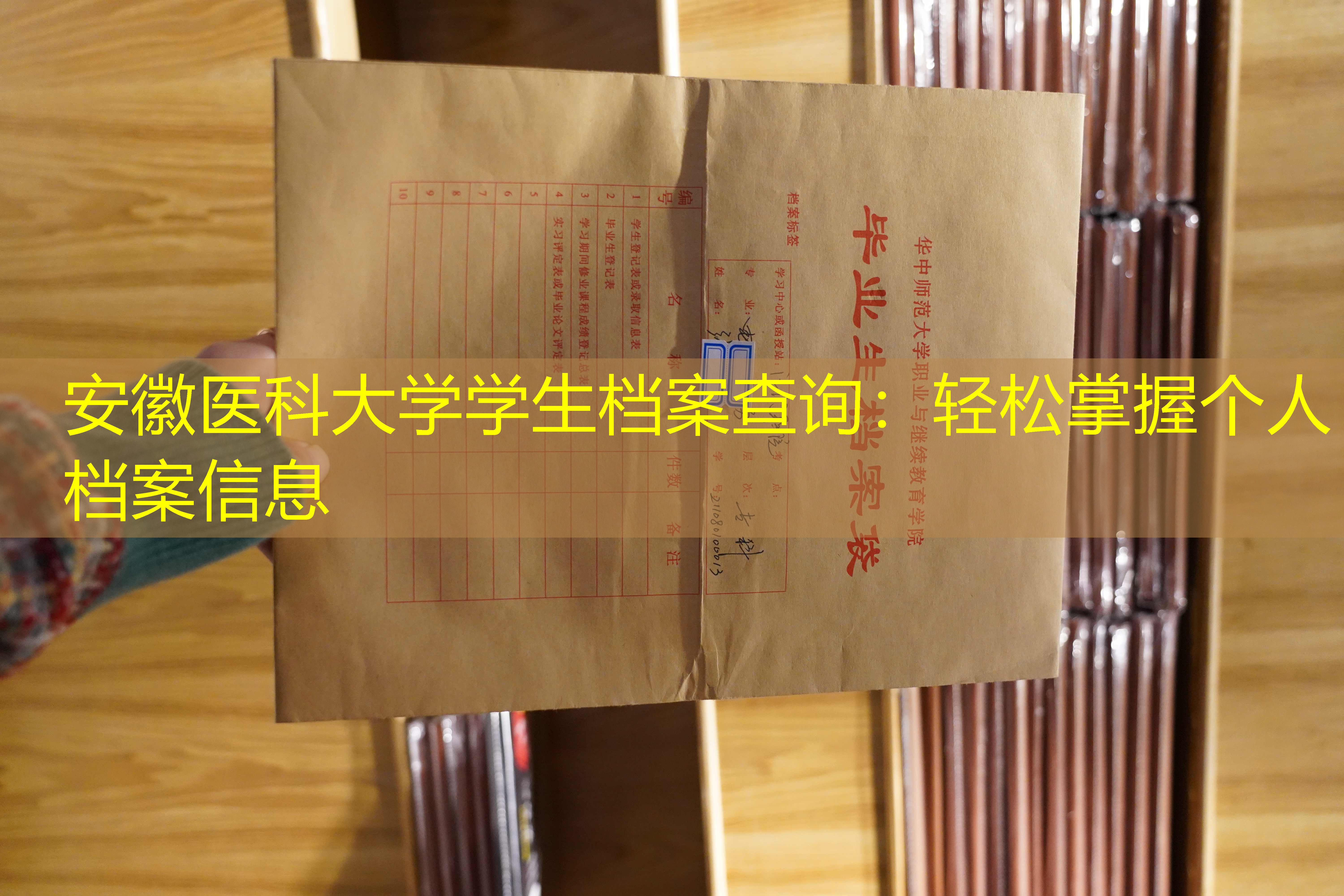 档案查询