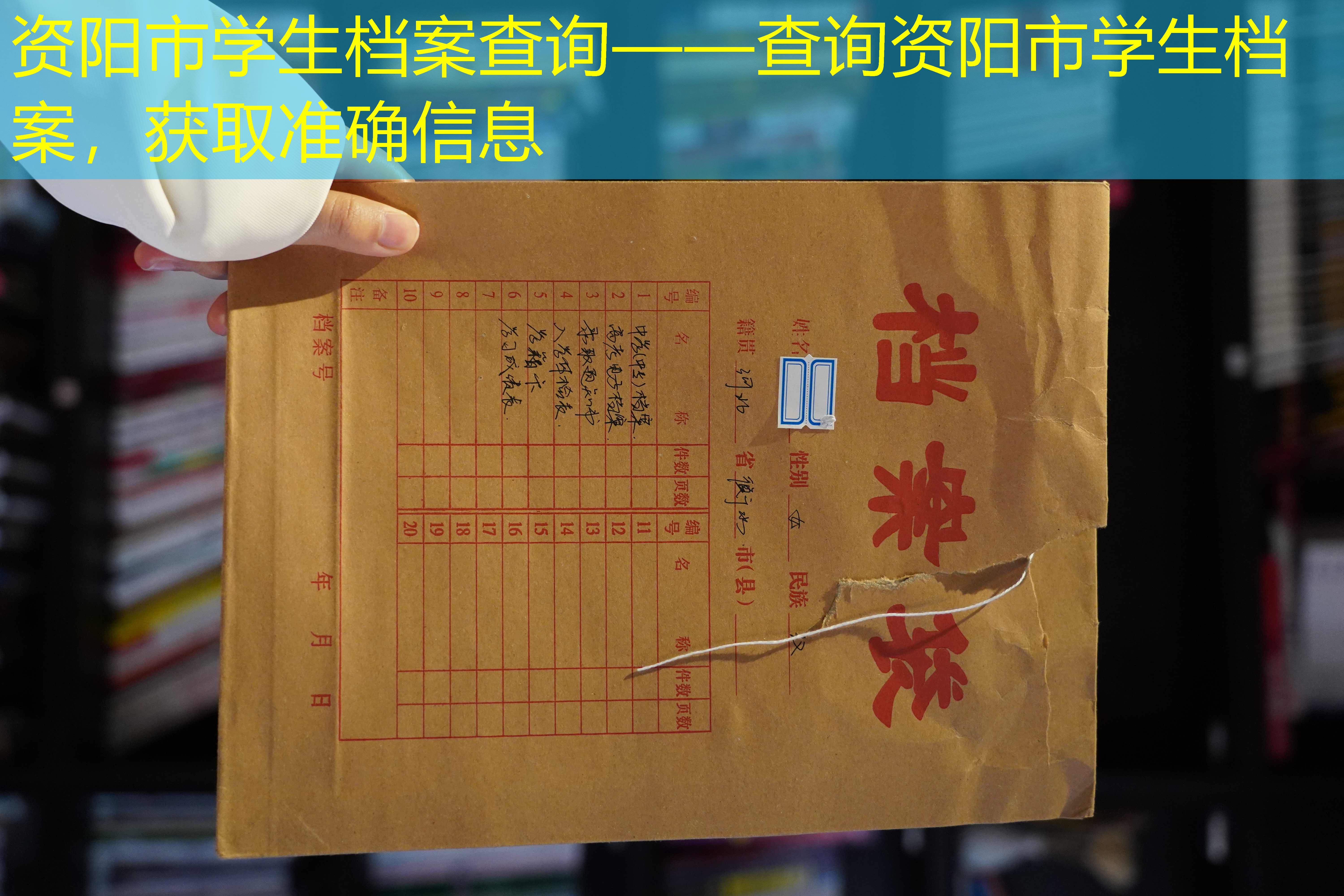 档案查询