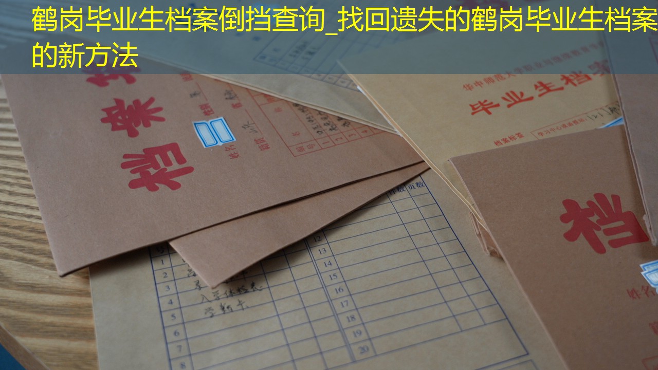 档案查询