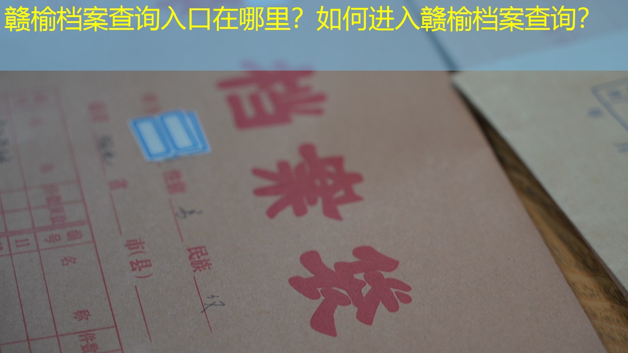 档案查询
