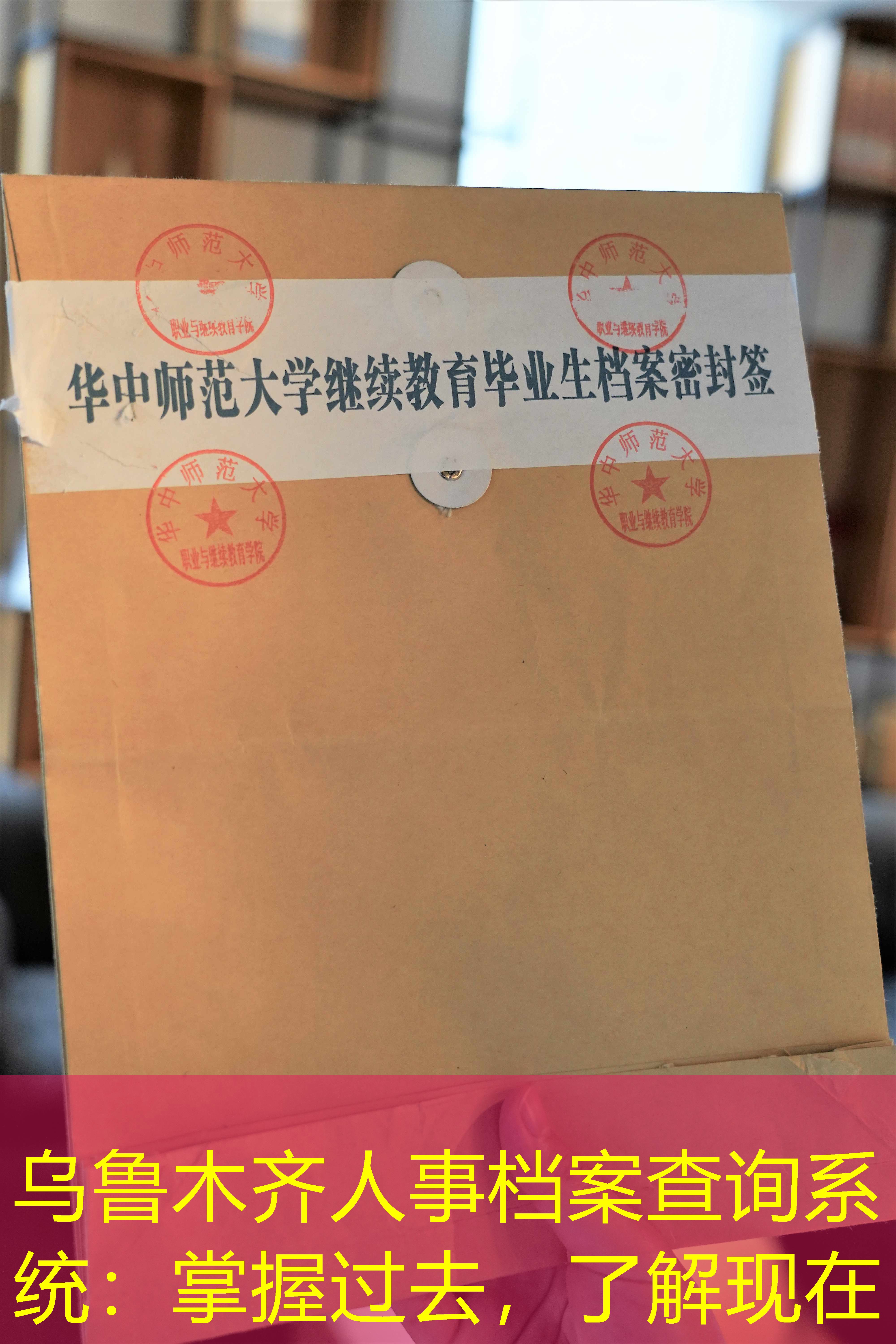 档案查询