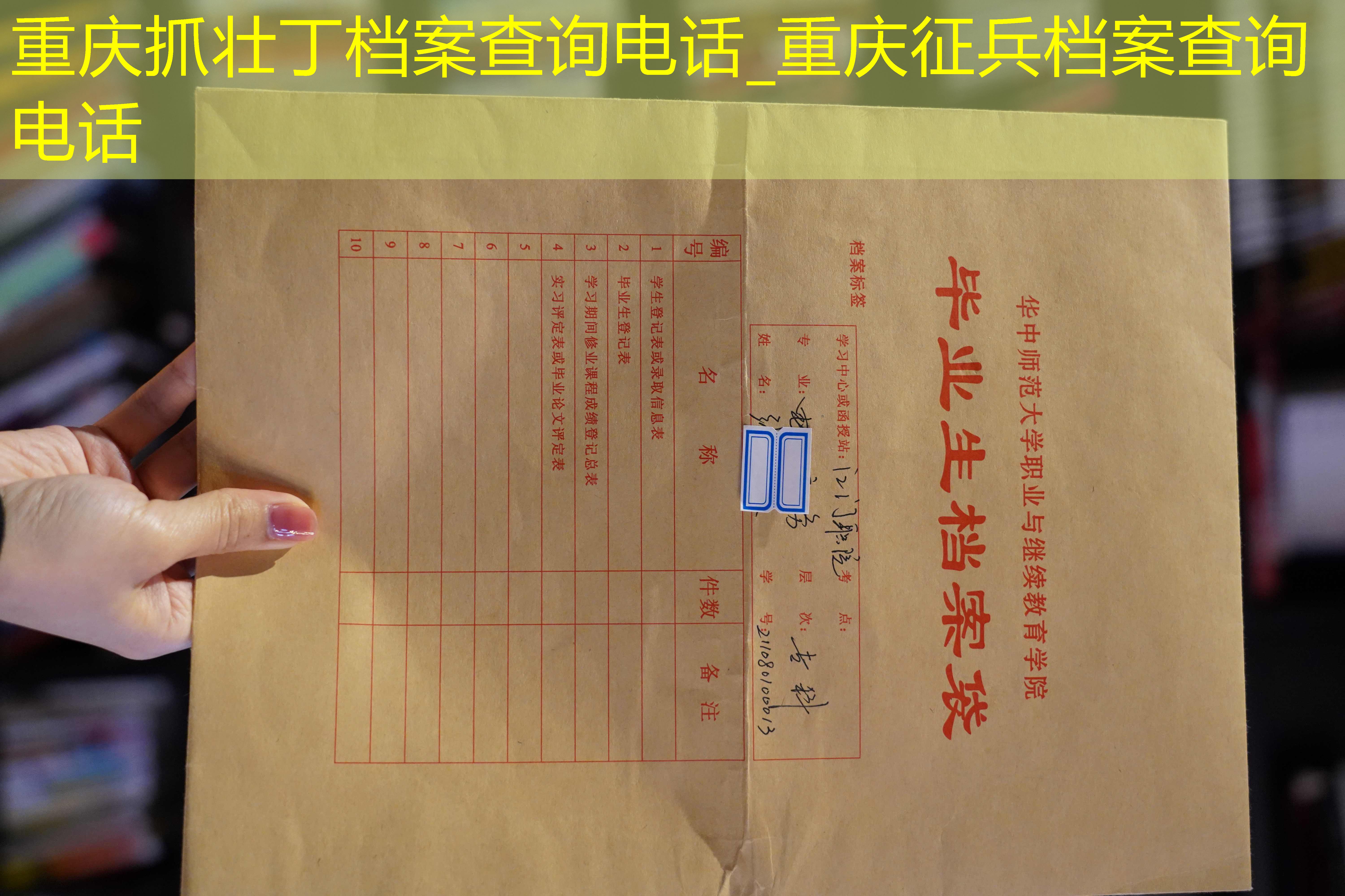 档案查询